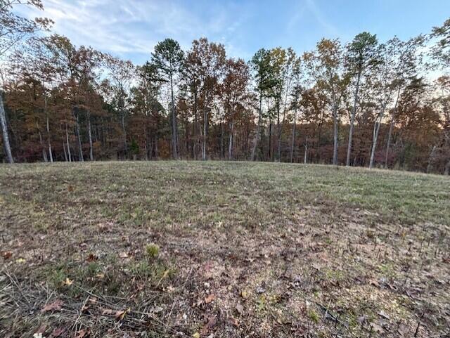 Photo 6 - Land for sale – Tbd  County Road 272   Vanzant, MO