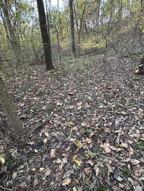 Photo 18 - Land for sale – Tbd  County Road 272   Vanzant, MO