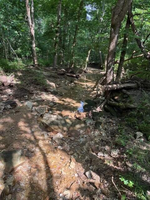 Land for sale – Tbd  County Road 272   Vanzant, MO