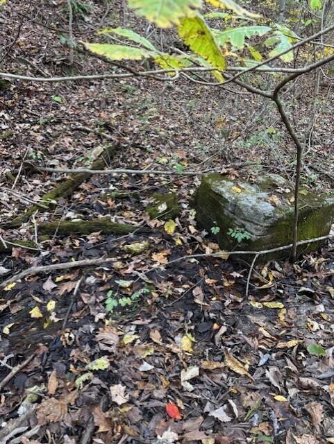 Photo 20 - Land for sale – Tbd  County Road 272   Vanzant, MO