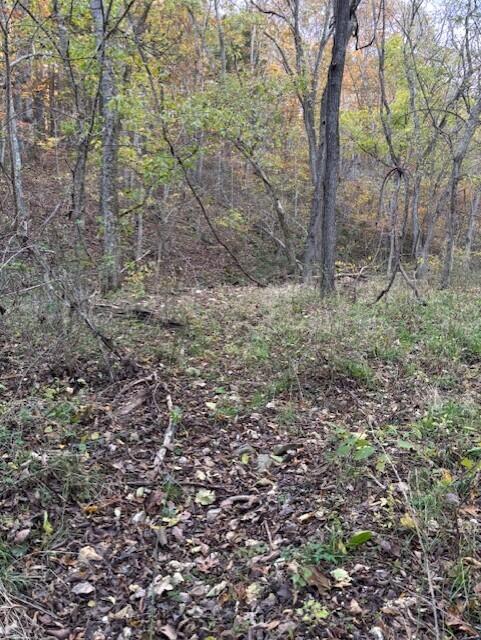 Photo 21 - Land for sale – Tbd  County Road 272   Vanzant, MO