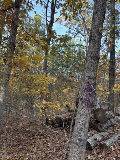 Photo 9 - Land for sale – Tbd  County Road 272   Vanzant, MO