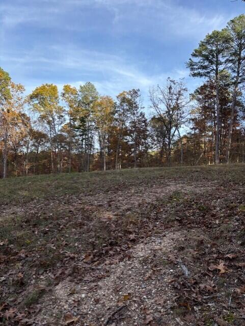 Photo 7 - Land for sale – Tbd  County Road 272   Vanzant, MO