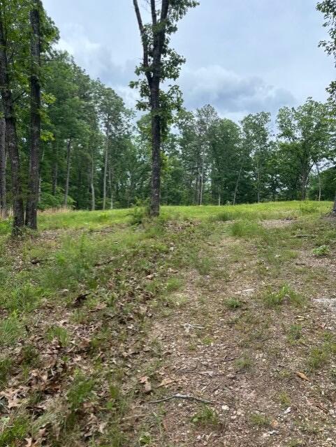 Photo 4 - Land for sale – Tbd  County Road 272   Vanzant, MO