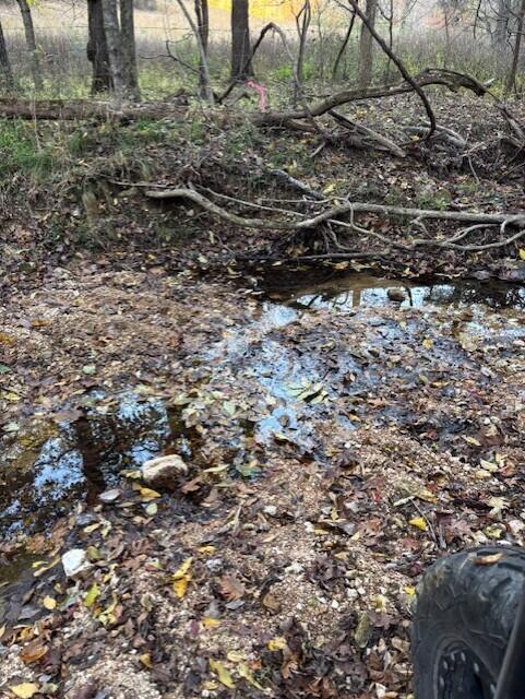 Photo 23 - Land for sale – Tbd  County Road 272   Vanzant, MO