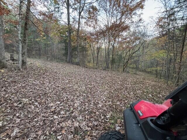 Photo 28 - Land for sale – Tbd  County Road 272   Vanzant, MO