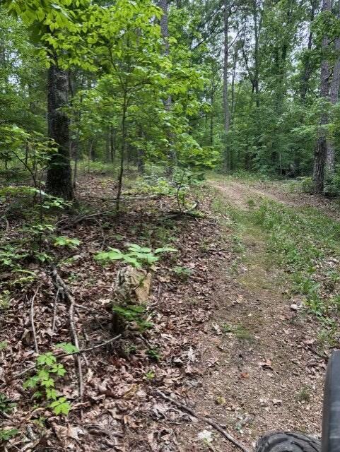 Photo 5 - Land for sale – Tbd  County Road 272   Vanzant, MO