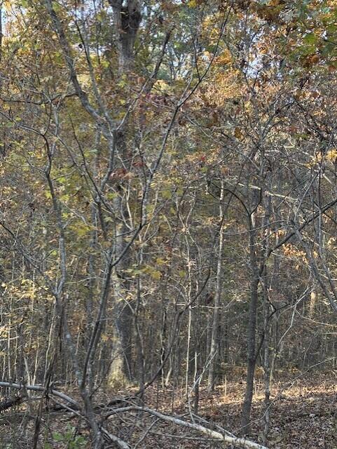 Photo 10 - Land for sale – Tbd  County Road 272   Vanzant, MO