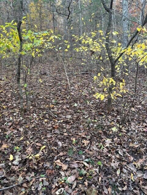 Photo 30 - Land for sale – Tbd  County Road 272   Vanzant, MO