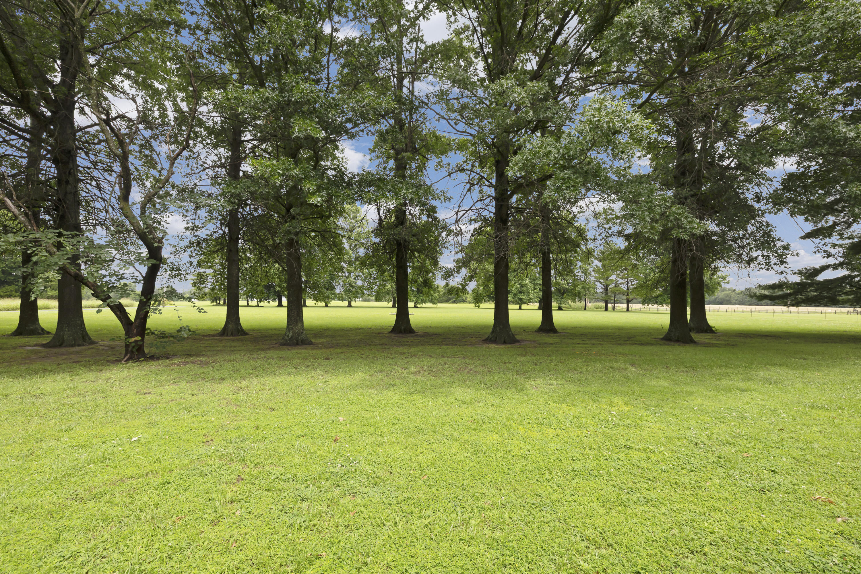 Photo 69 - Residential for sale – 1238 E 425th Road  Bolivar, MO