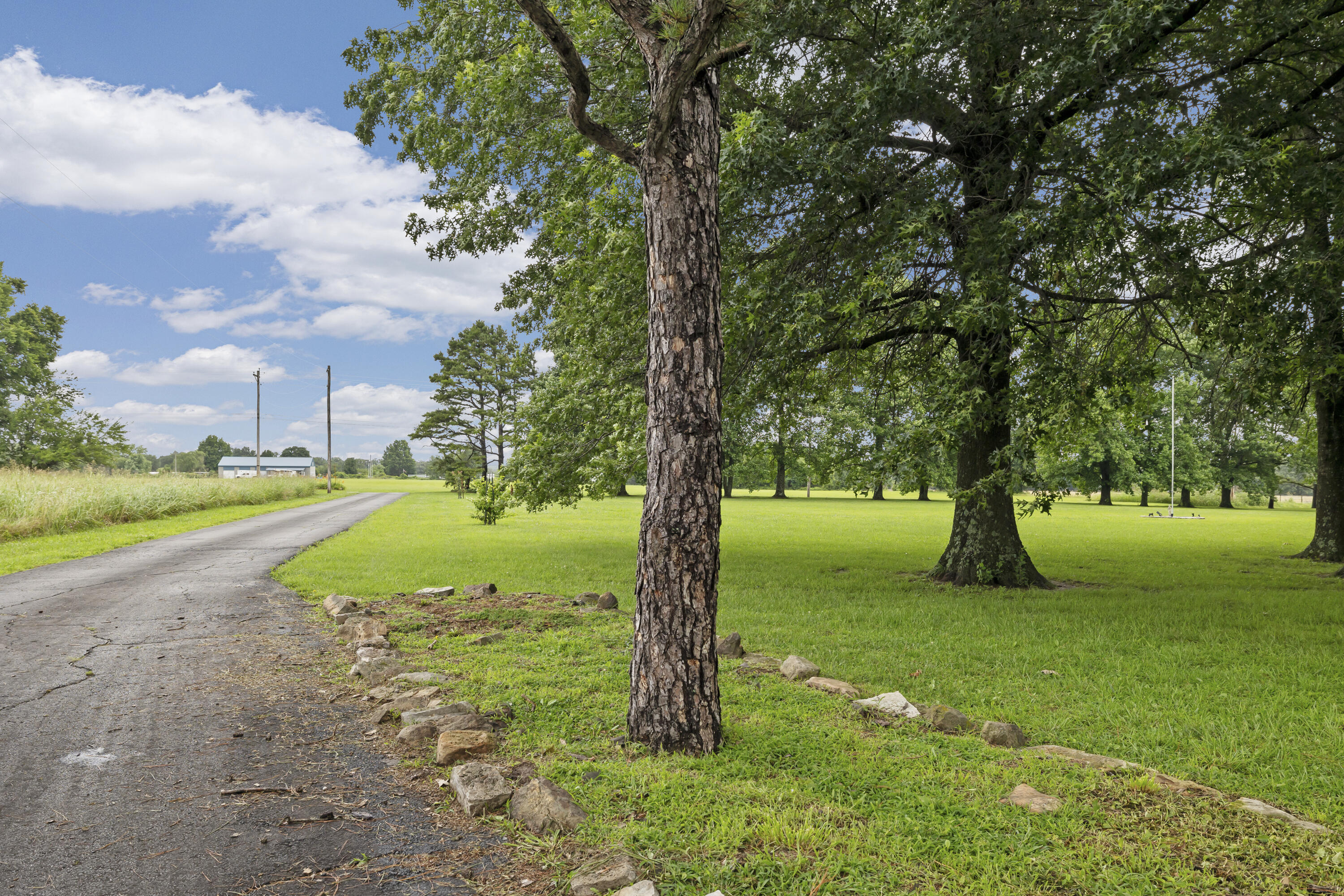 Photo 68 - Residential for sale – 1238 E 425th Road  Bolivar, MO