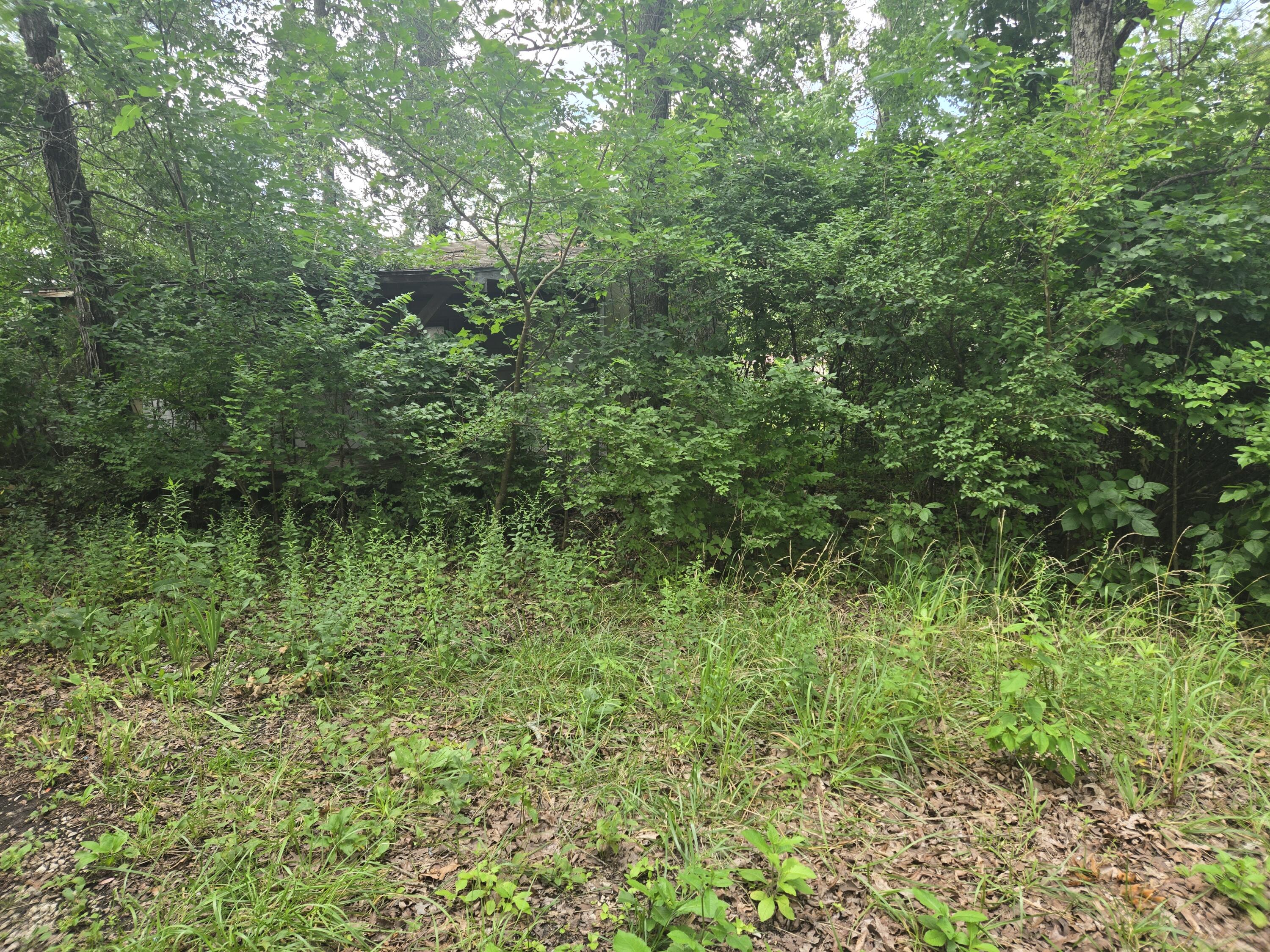 Photo 9 - Land for sale – 3287  Pomme De Terre Circle  Flemington, MO