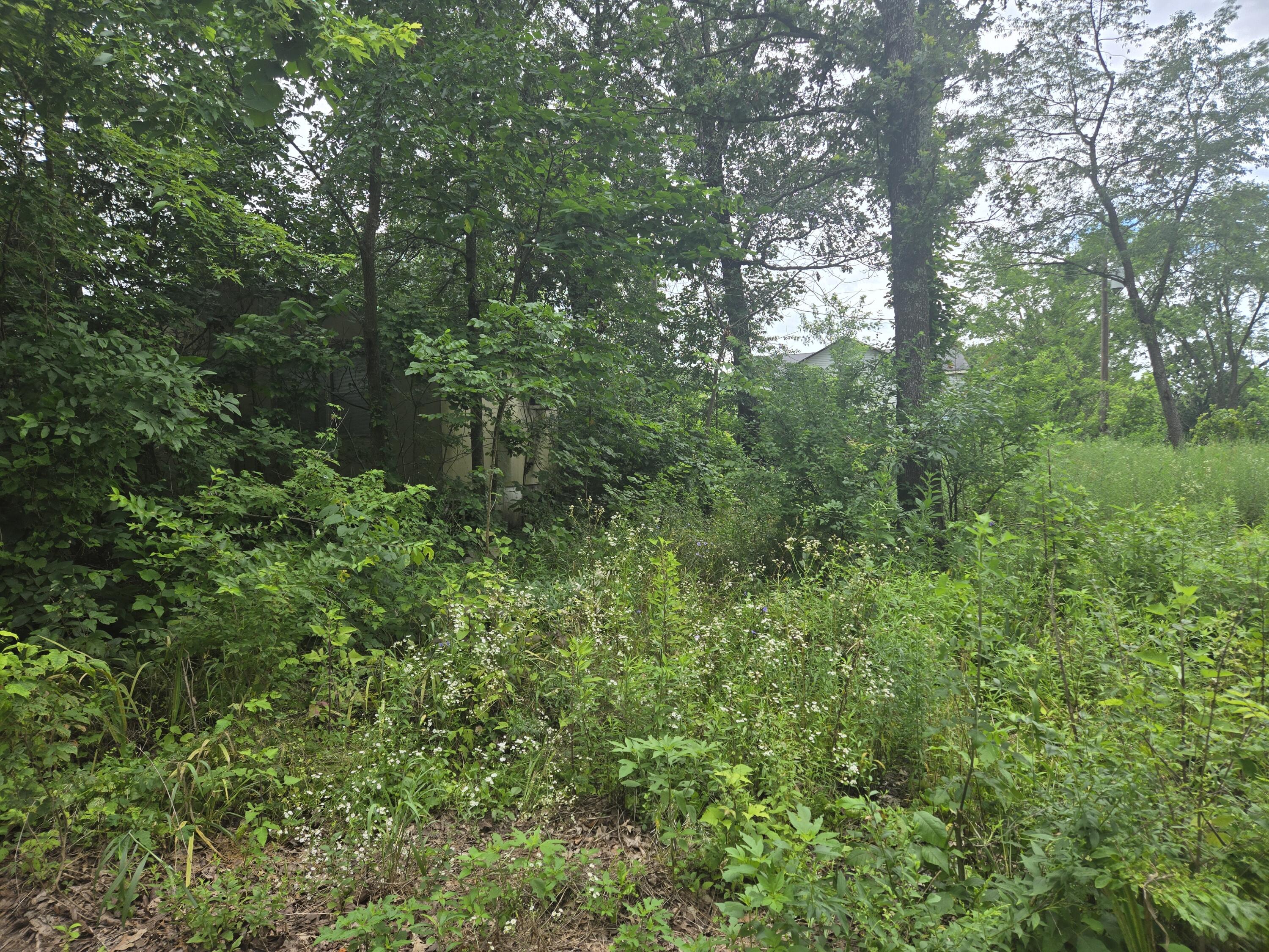 Photo 3 - Land for sale – 3287  Pomme De Terre Circle  Flemington, MO