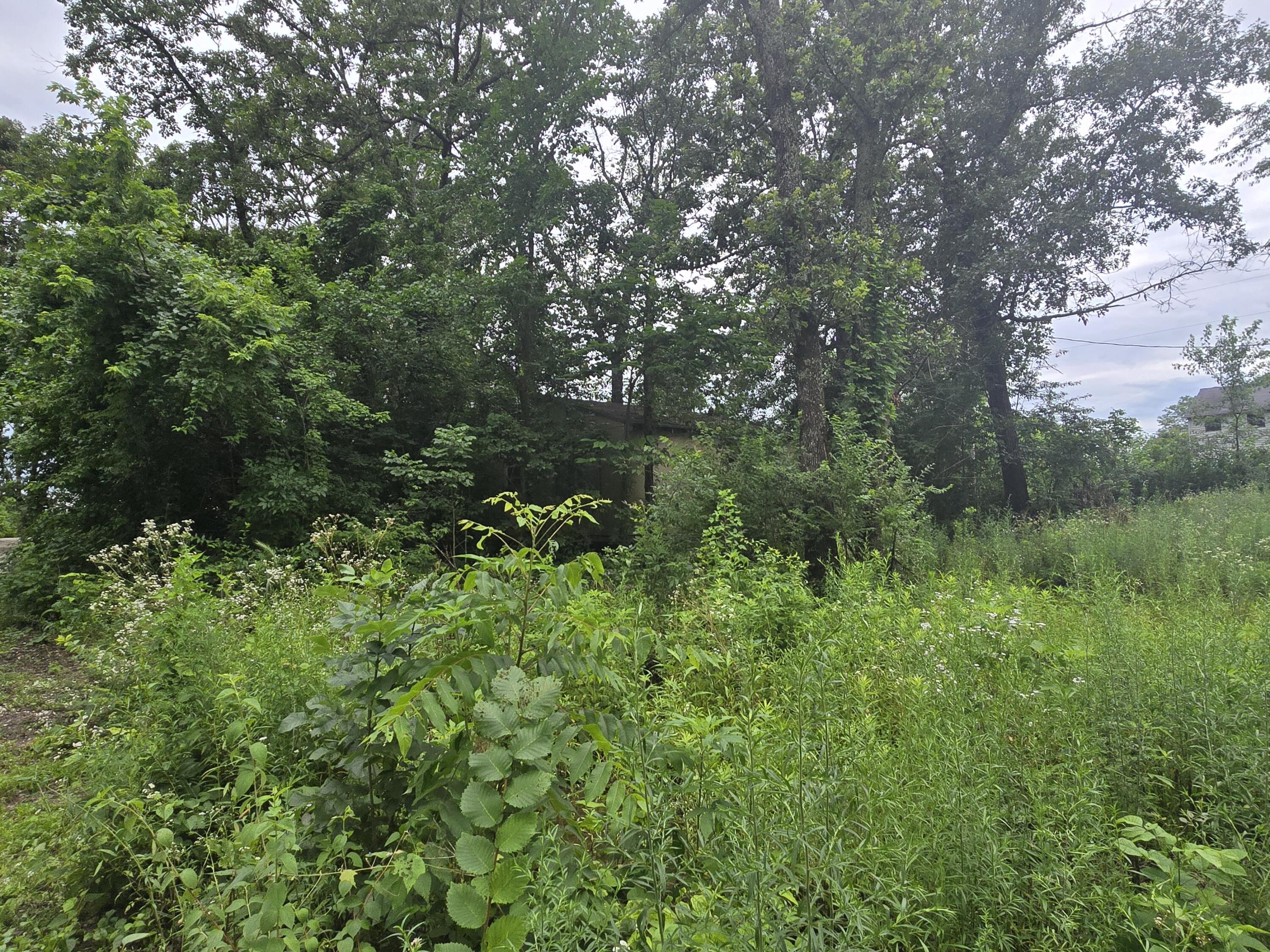 Photo 7 - Land for sale – 3287  Pomme De Terre Circle  Flemington, MO