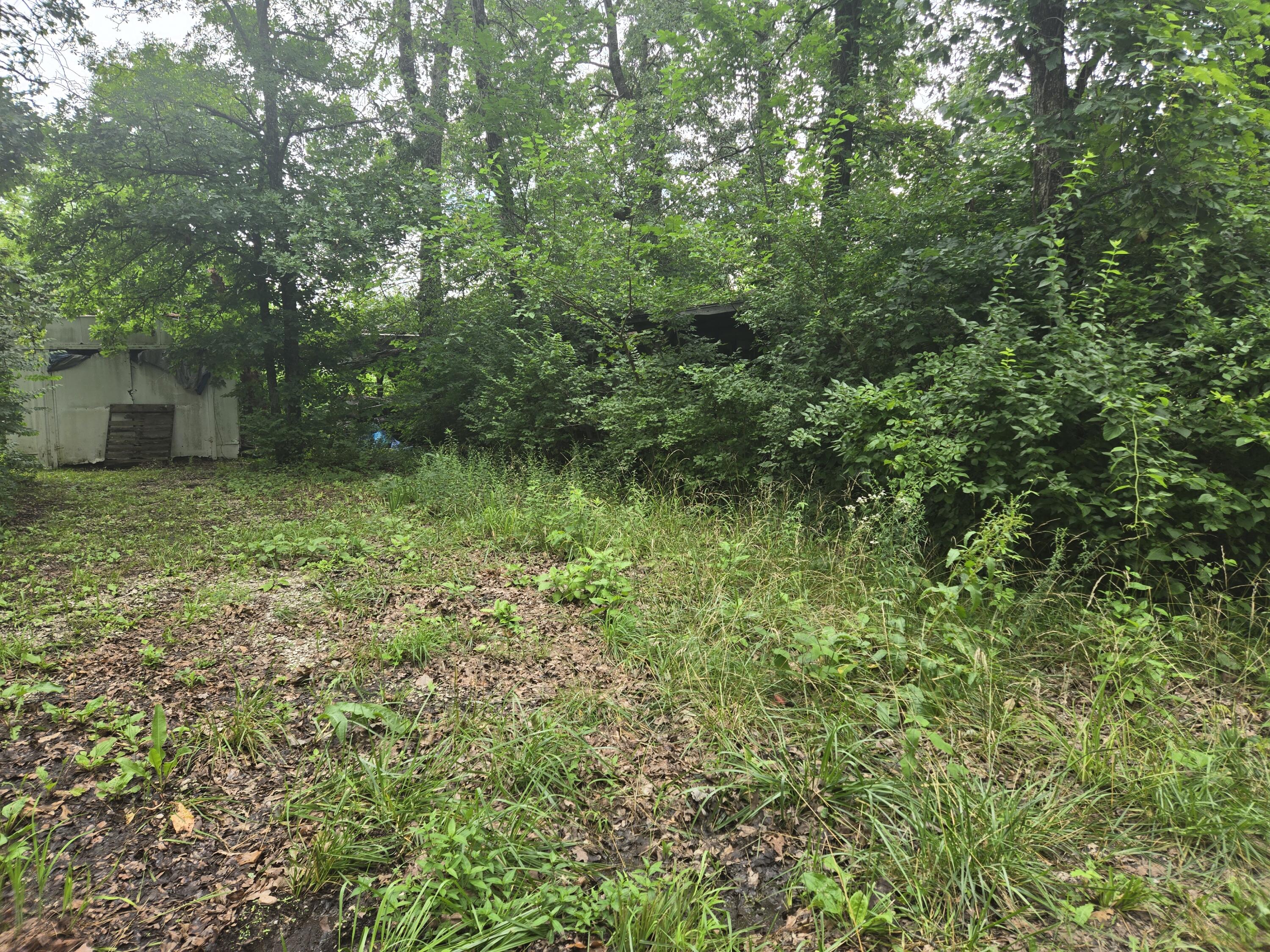 Photo 5 - Land for sale – 3287  Pomme De Terre Circle  Flemington, MO