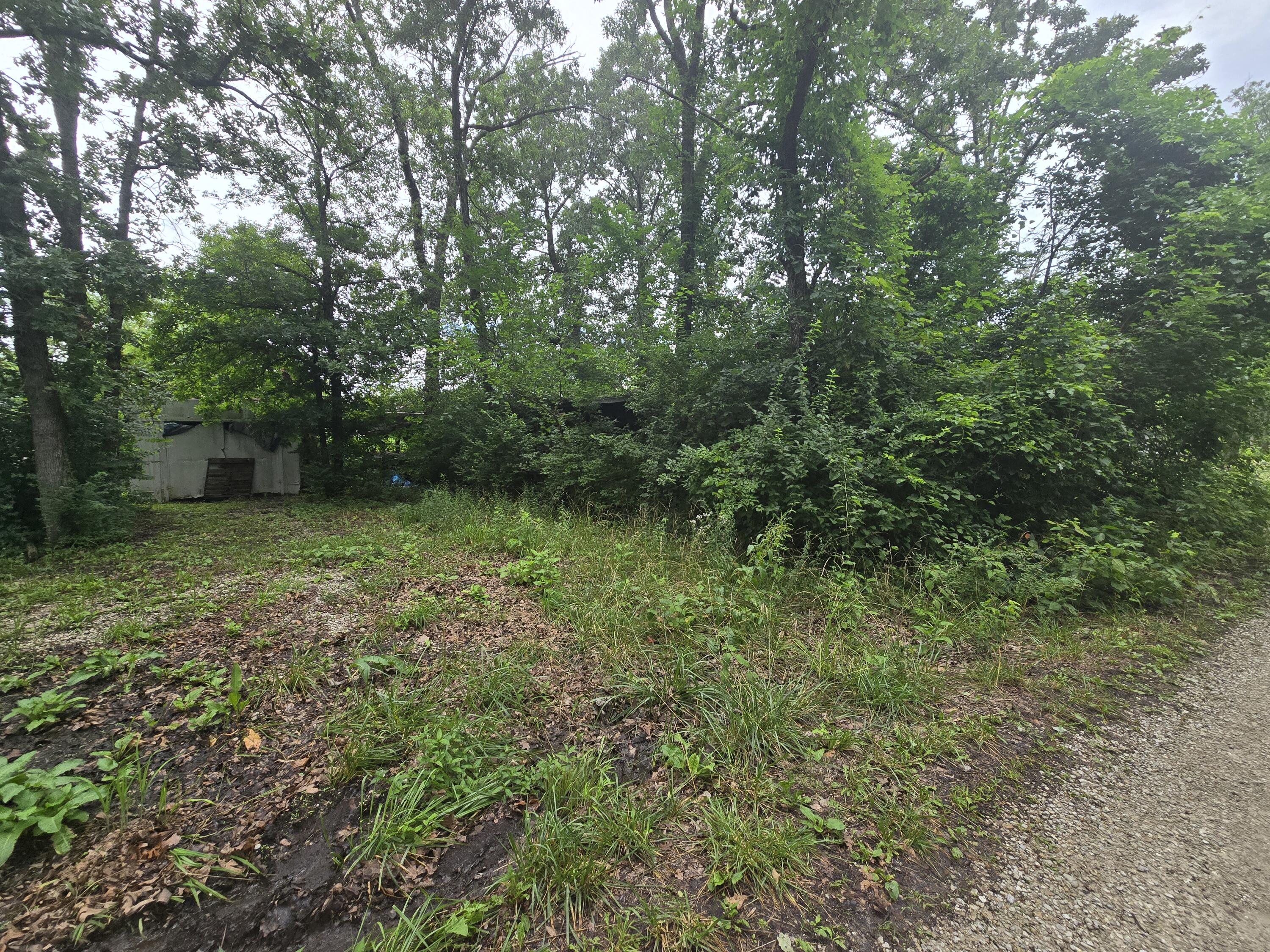 Photo 6 - Land for sale – 3287  Pomme De Terre Circle  Flemington, MO