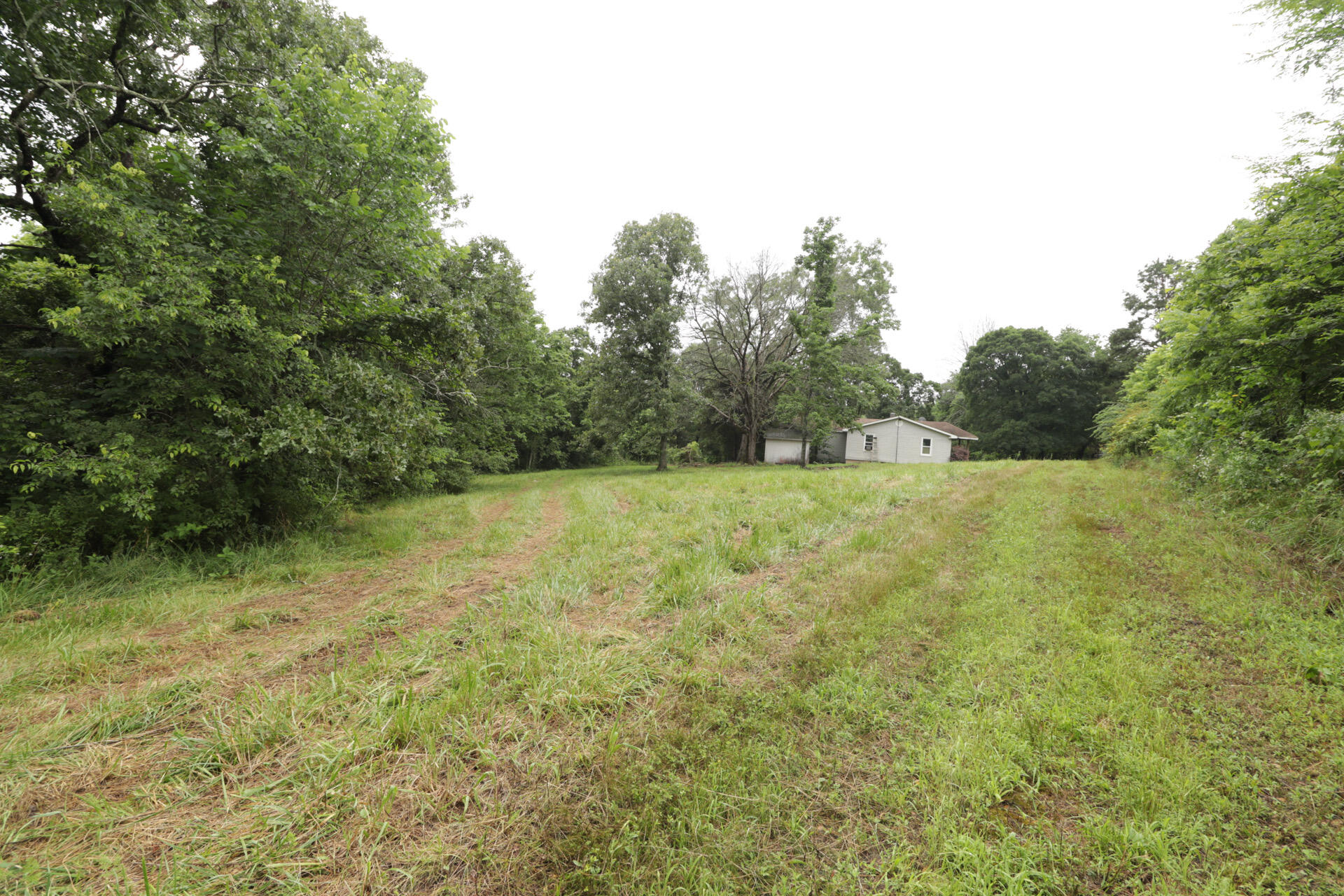 Photo 68 - Land for sale – 406  Horner Drive  Bradleyville, MO