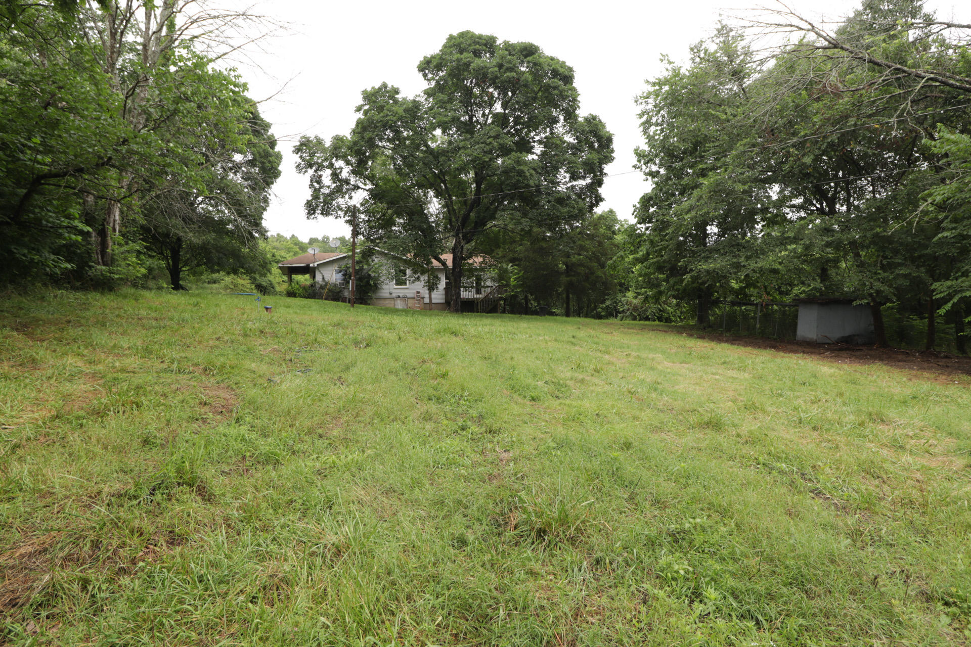 Photo 69 - Land for sale – 406  Horner Drive  Bradleyville, MO