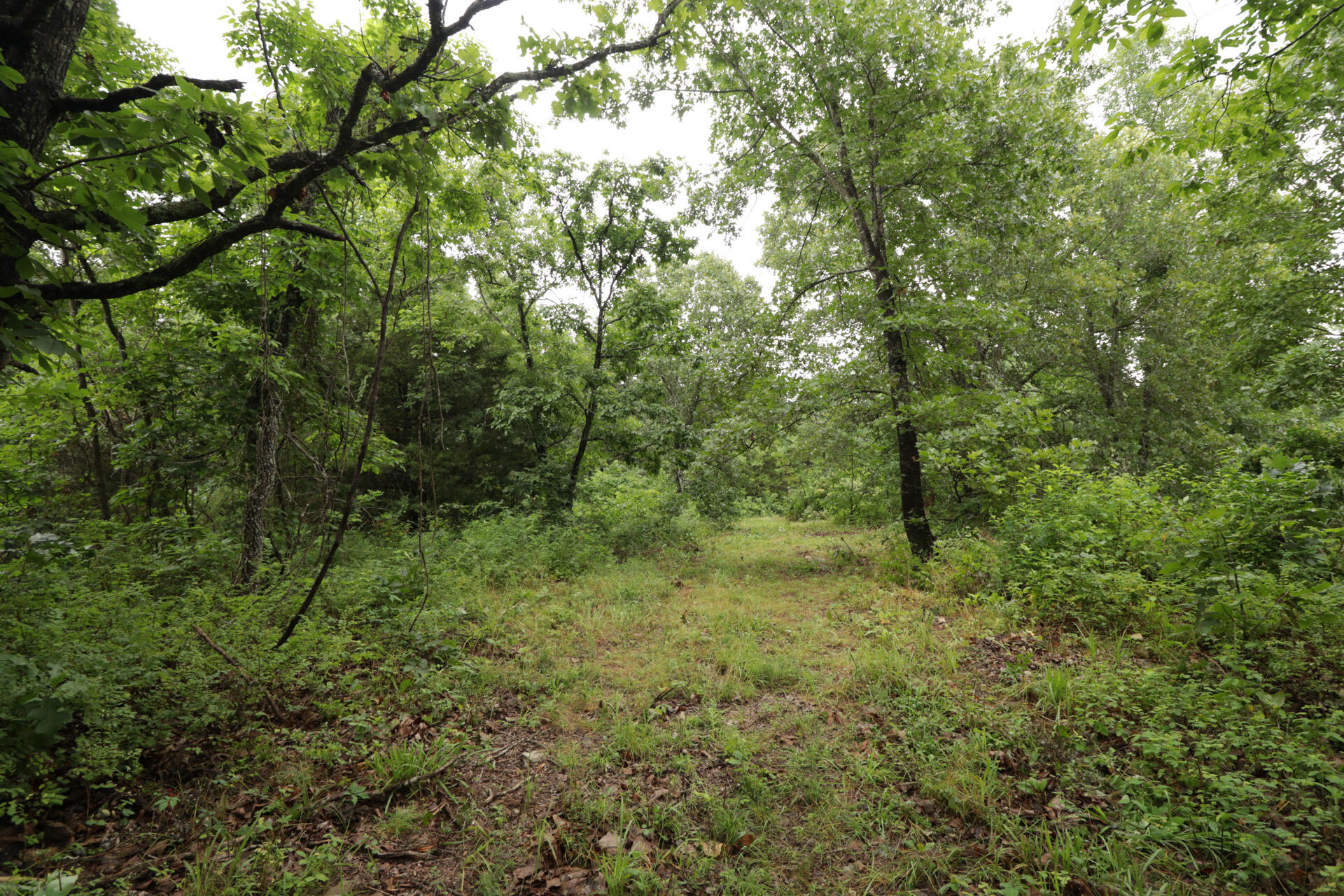 Photo 32 - Land for sale – 406  Horner Drive  Bradleyville, MO