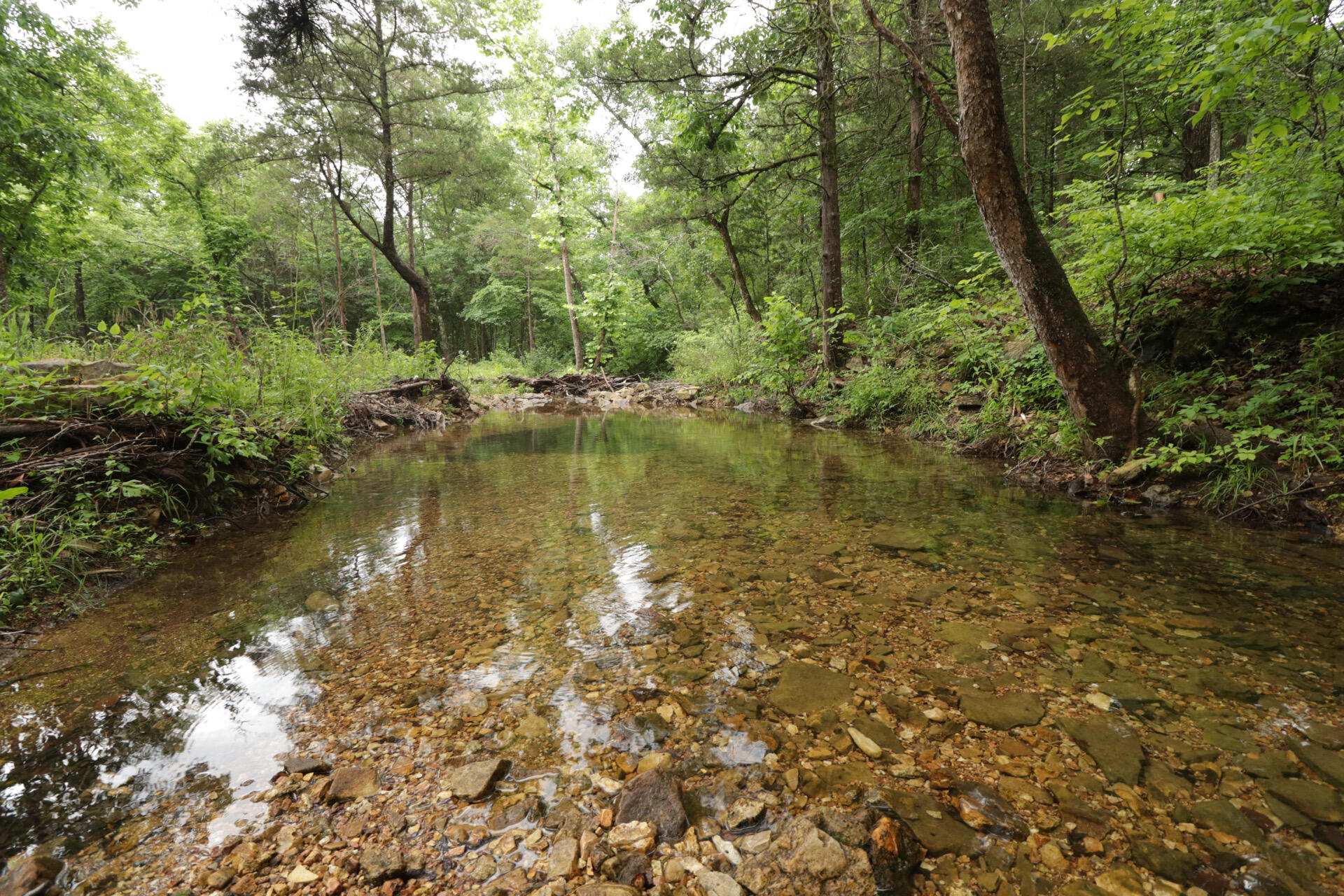 Photo 53 - Land for sale – 406  Horner Drive  Bradleyville, MO