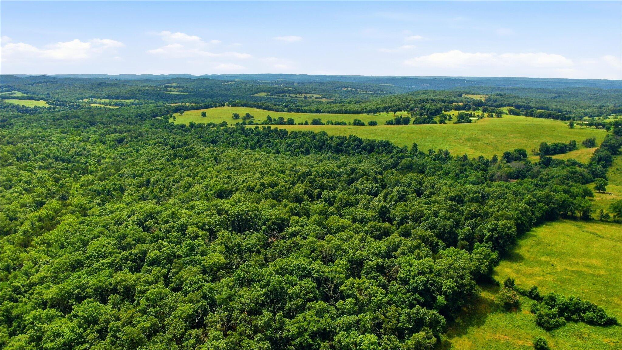 Photo 9 - Land for sale – 406  Horner Drive  Bradleyville, MO