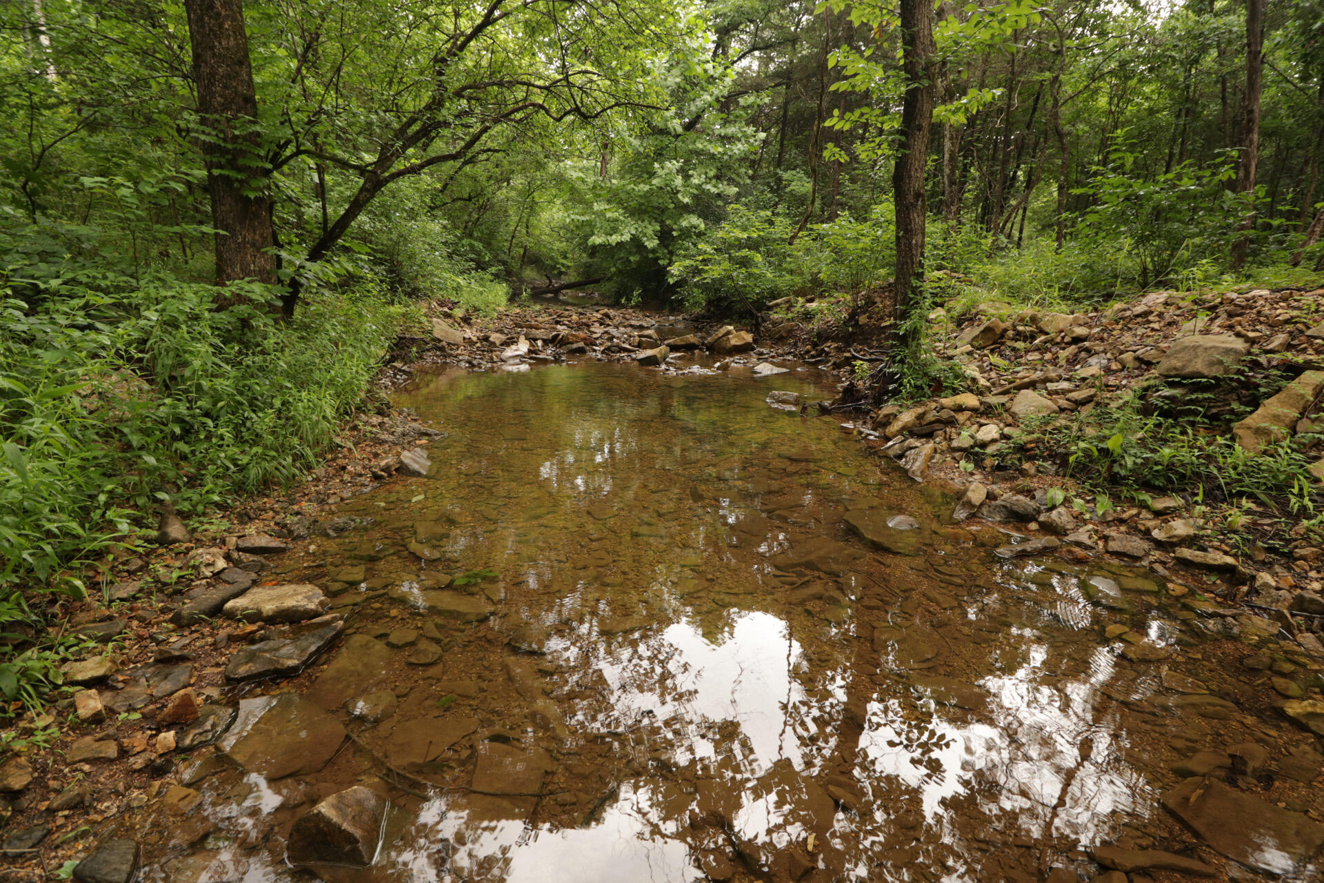 Photo 49 - Land for sale – 406  Horner Drive  Bradleyville, MO