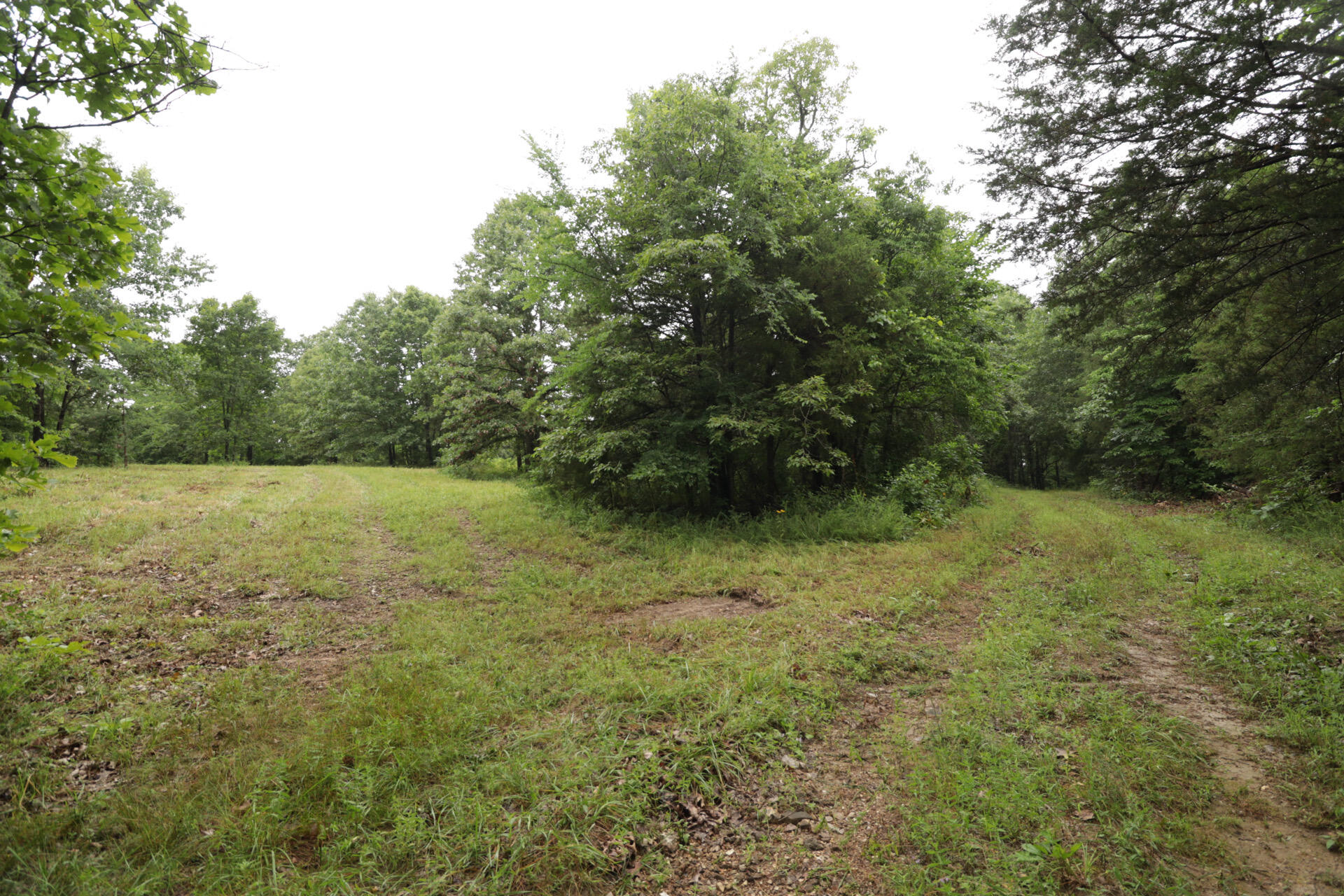 Photo 28 - Land for sale – 406  Horner Drive  Bradleyville, MO
