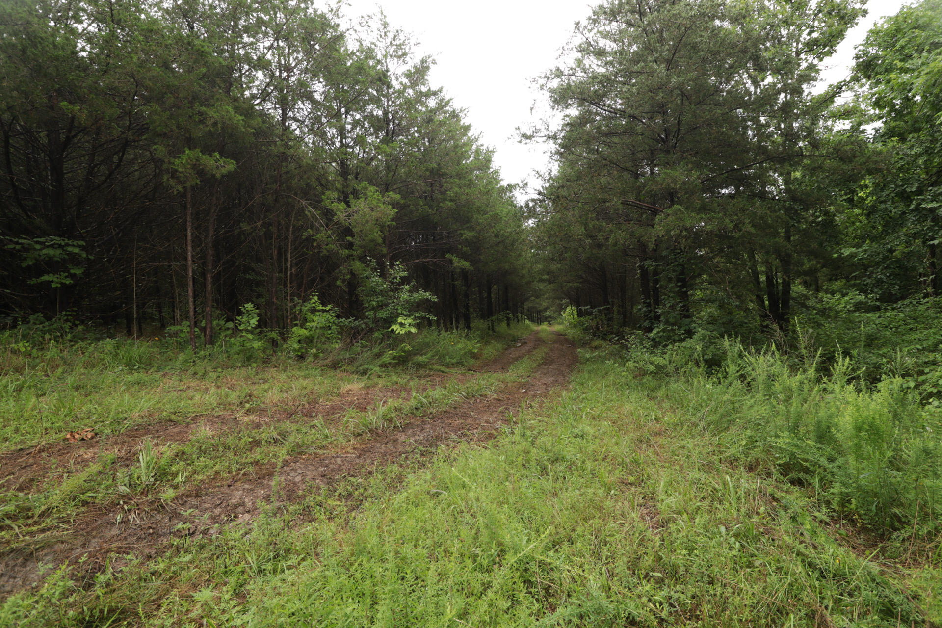 Photo 26 - Land for sale – 406  Horner Drive  Bradleyville, MO