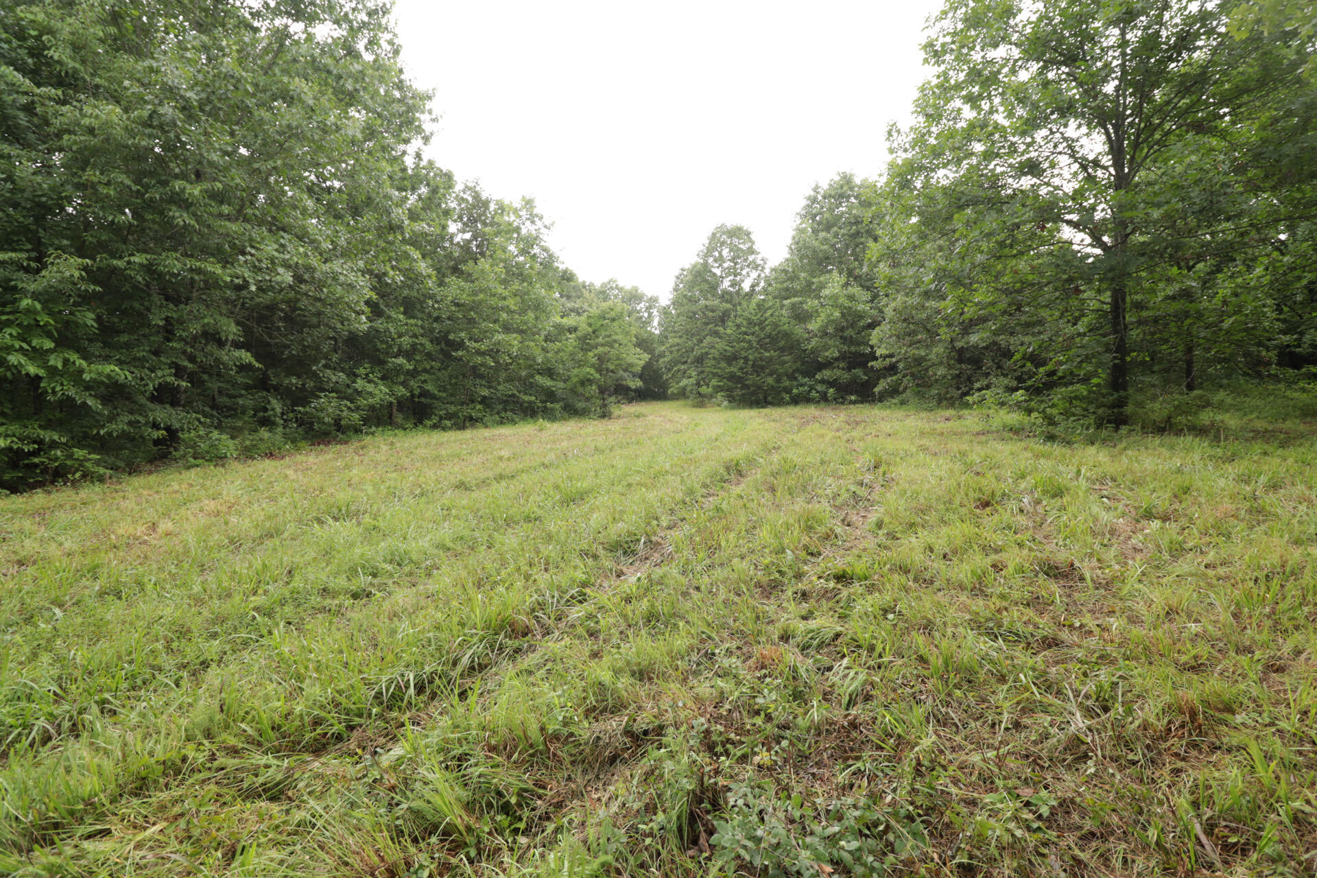 Photo 29 - Land for sale – 406  Horner Drive  Bradleyville, MO