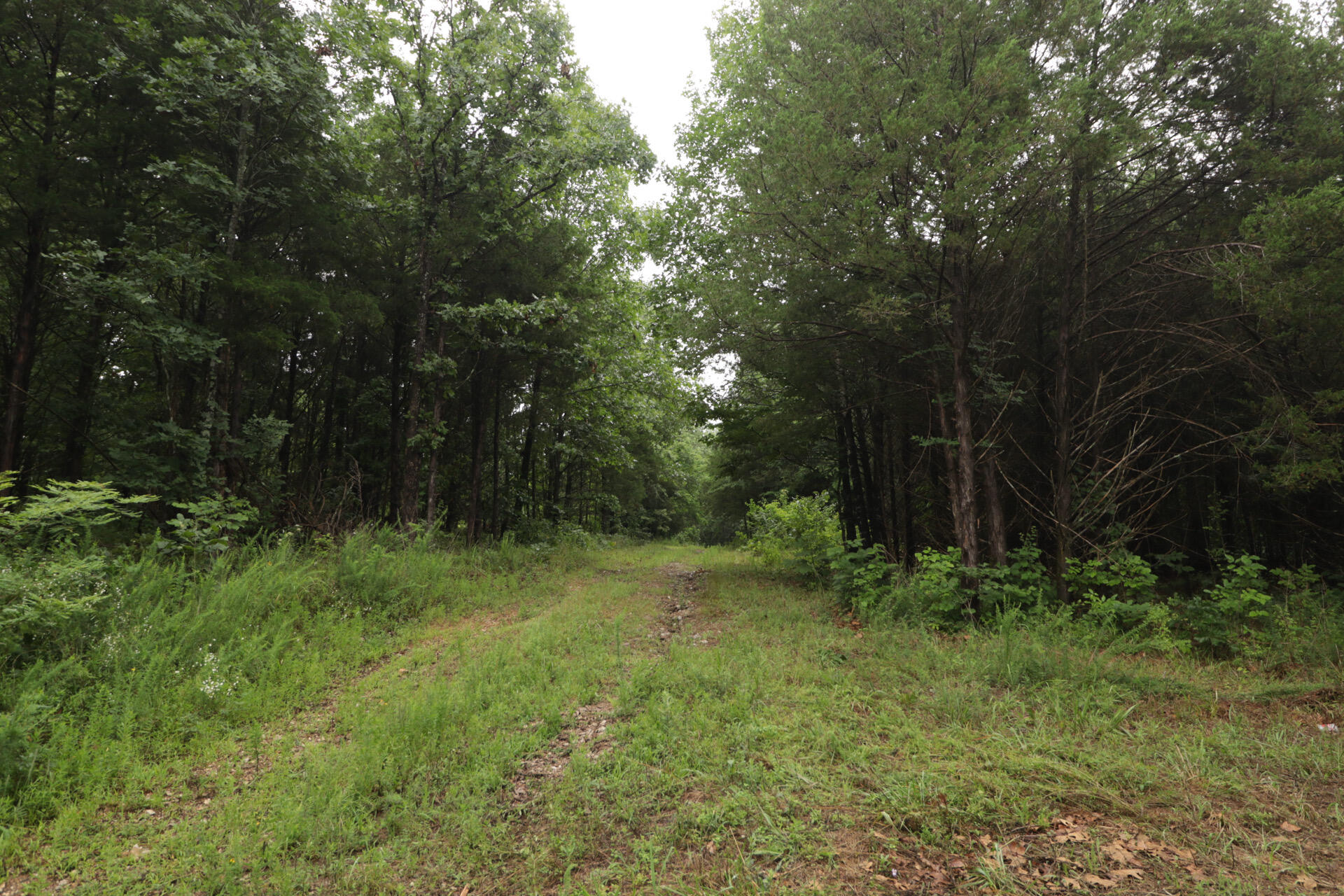 Photo 27 - Land for sale – 406  Horner Drive  Bradleyville, MO