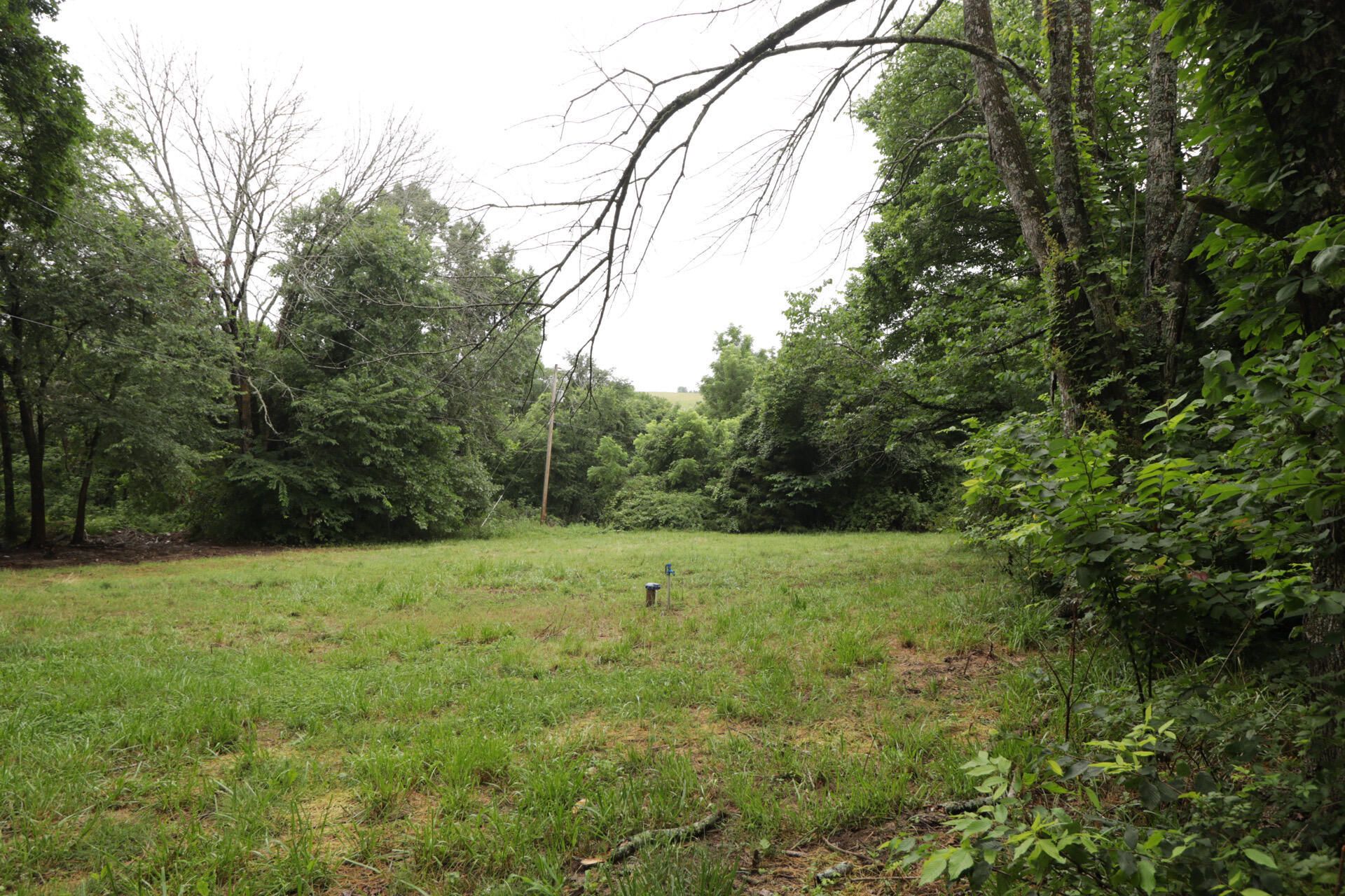 Photo 25 - Land for sale – 406  Horner Drive  Bradleyville, MO