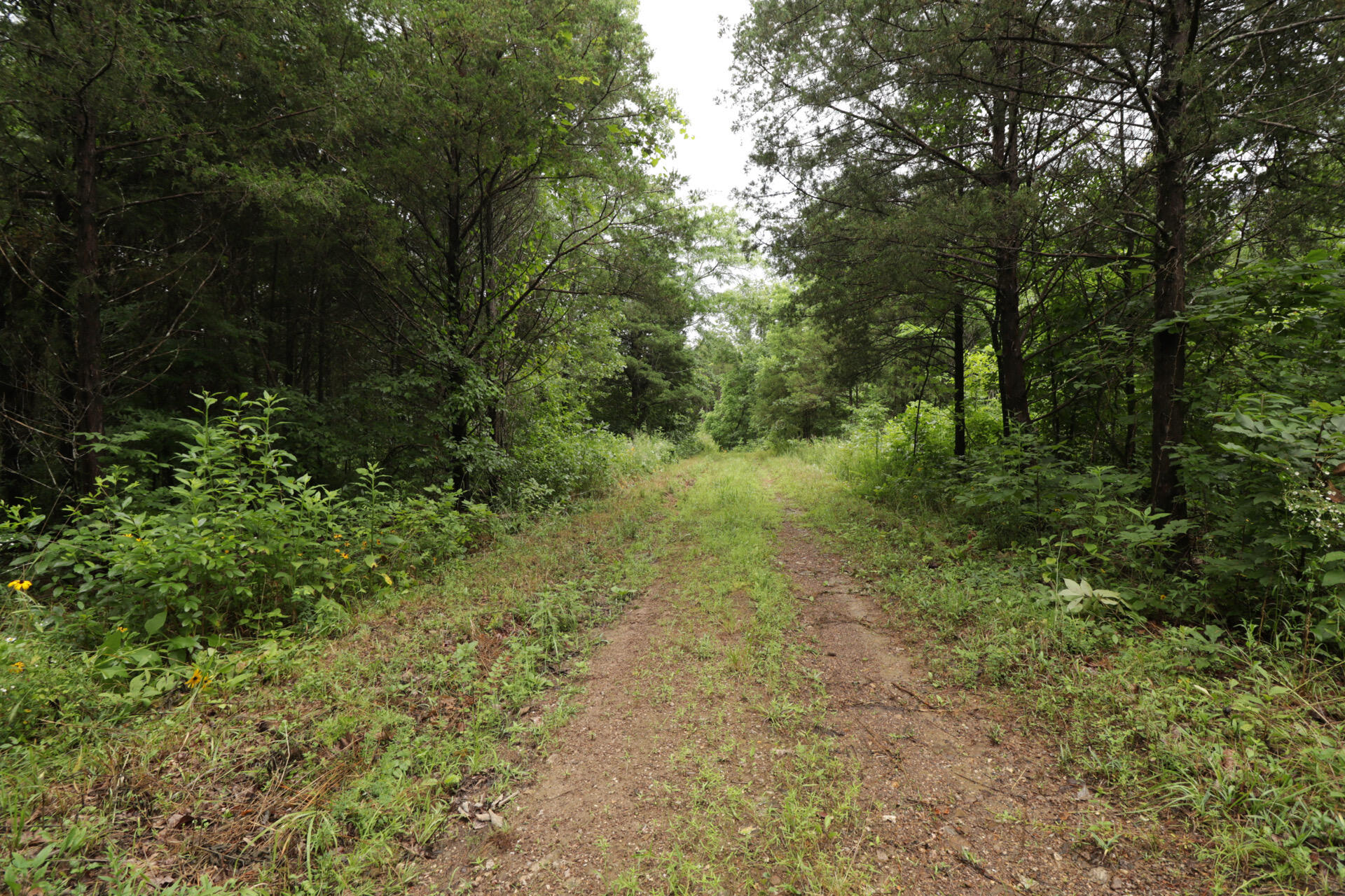 Photo 40 - Land for sale – 406  Horner Drive  Bradleyville, MO