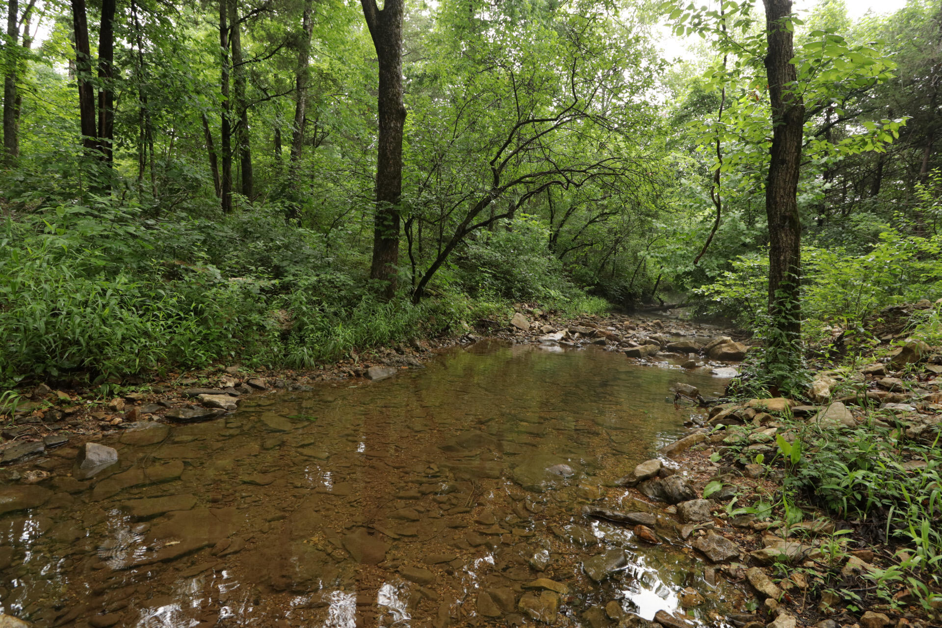 Photo 55 - Land for sale – 406  Horner Drive  Bradleyville, MO