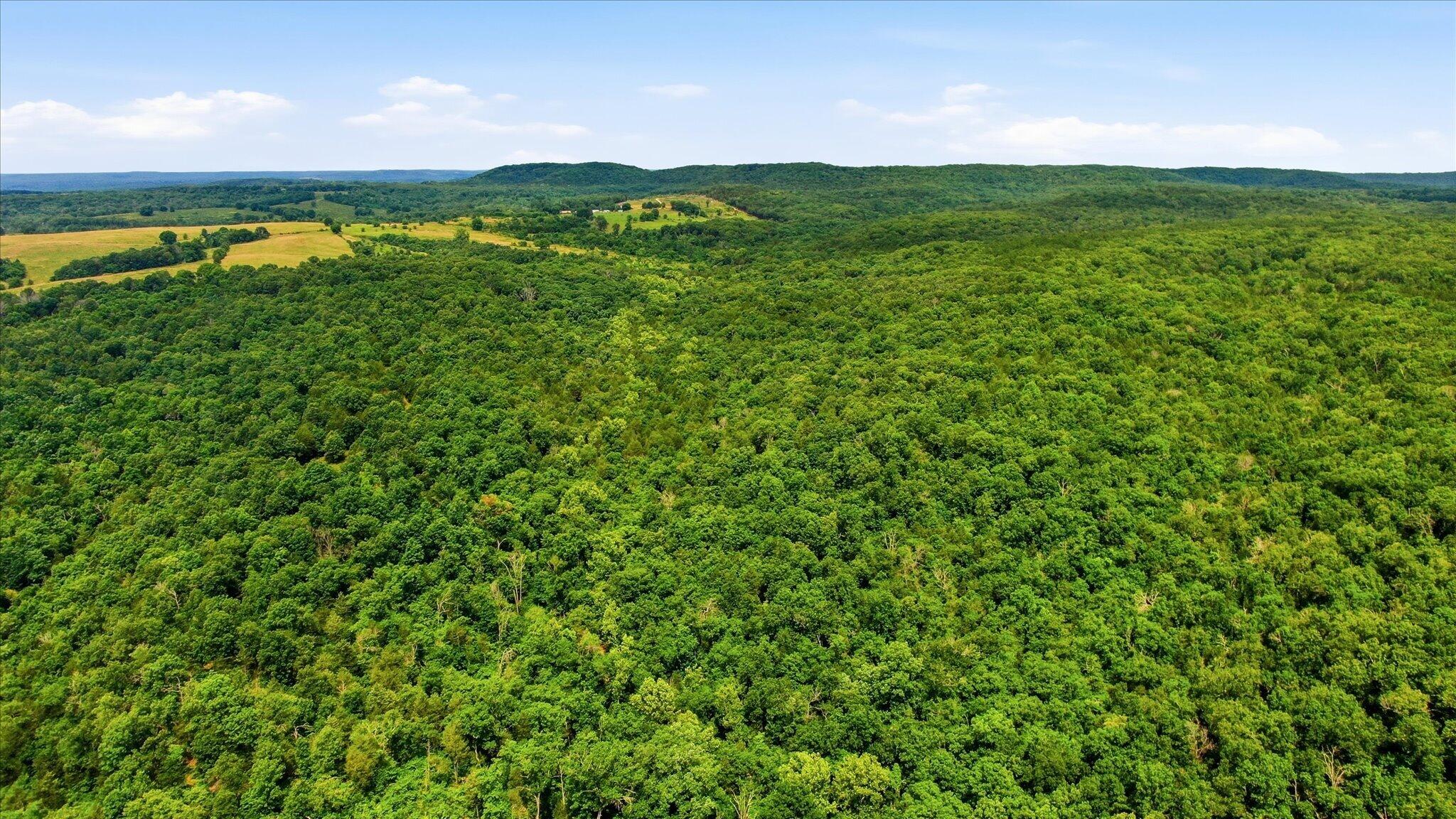 Photo 6 - Land for sale – 406  Horner Drive  Bradleyville, MO