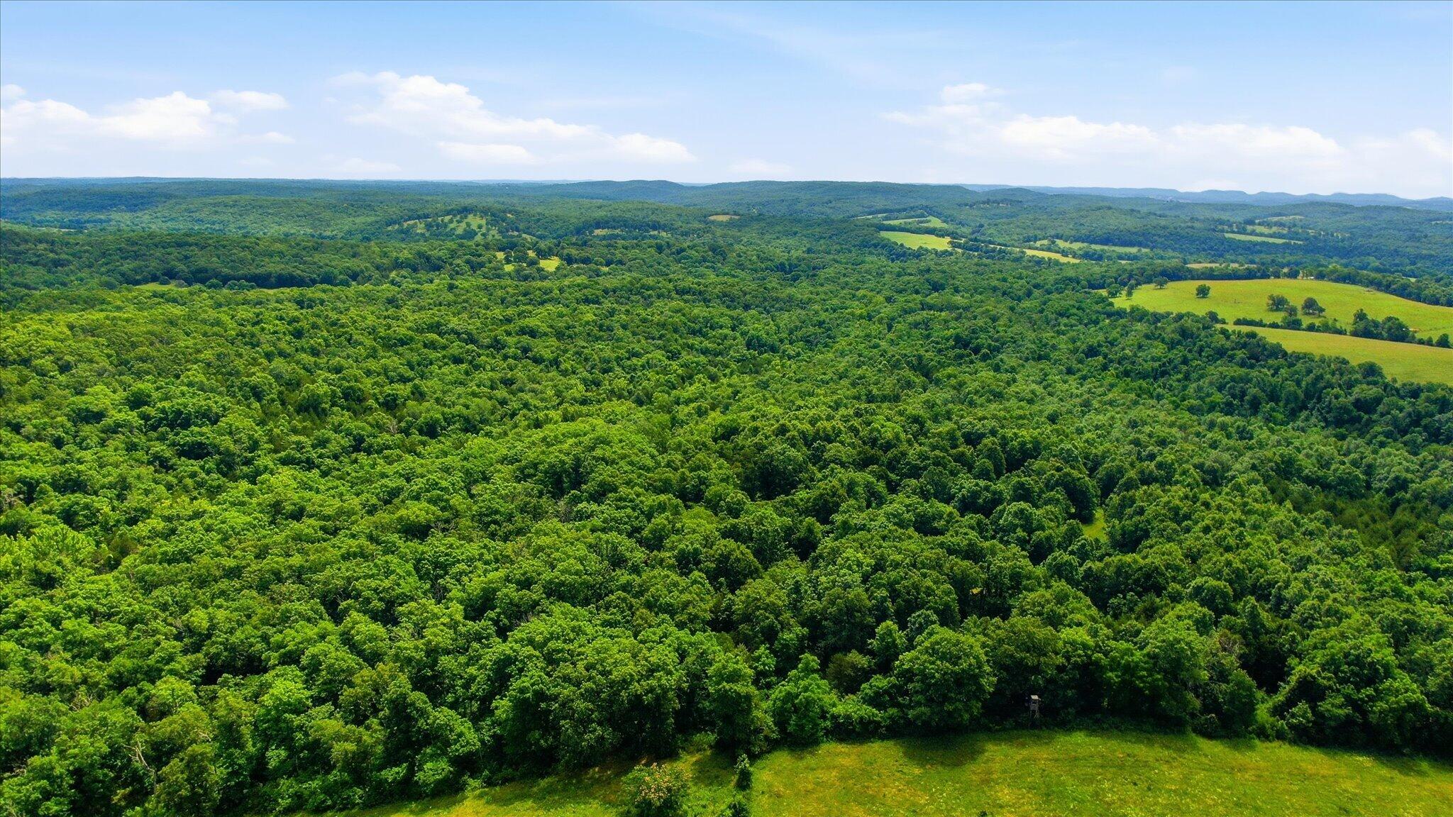 Photo 11 - Land for sale – 406  Horner Drive  Bradleyville, MO