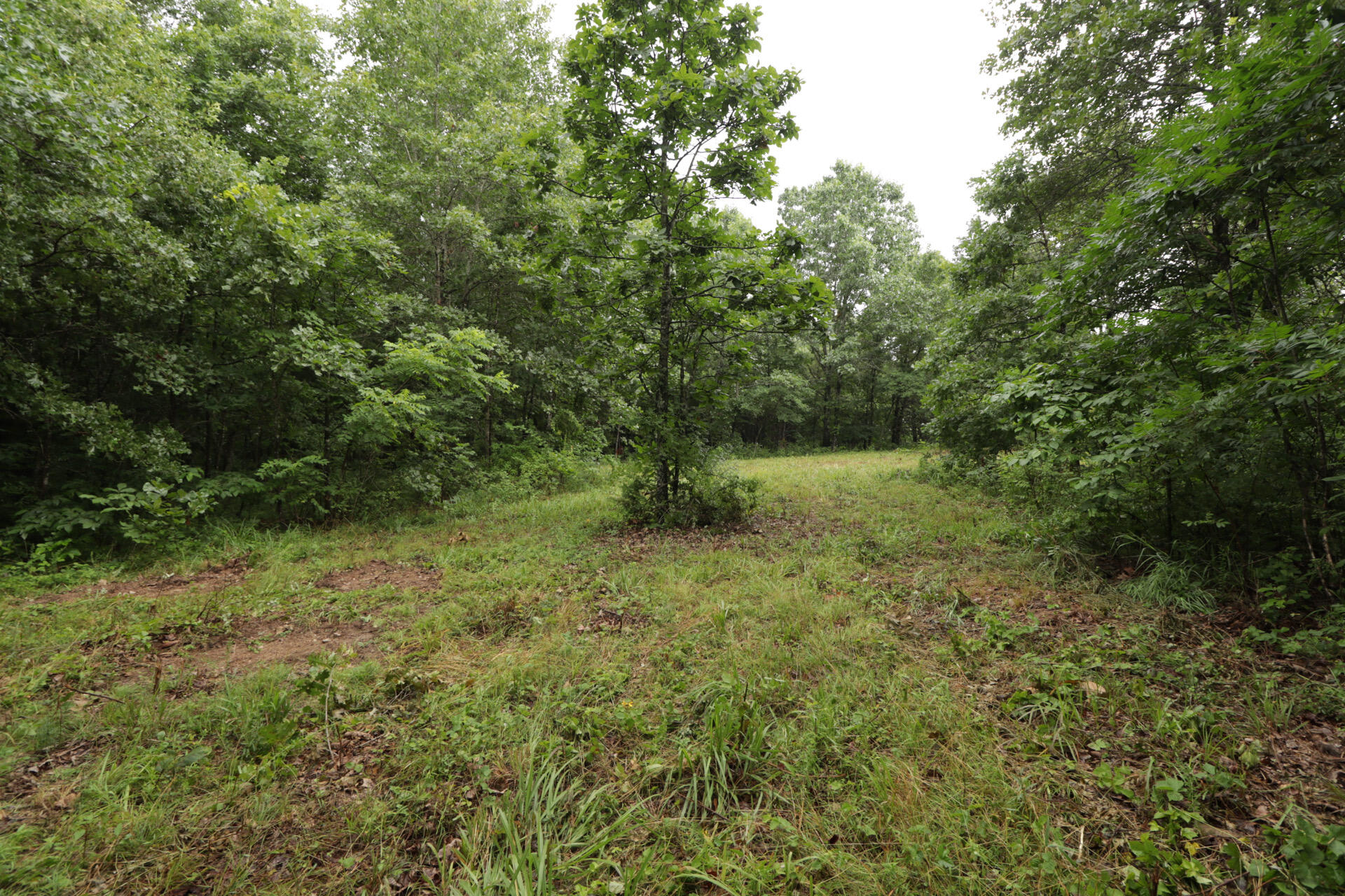 Photo 34 - Land for sale – 406  Horner Drive  Bradleyville, MO