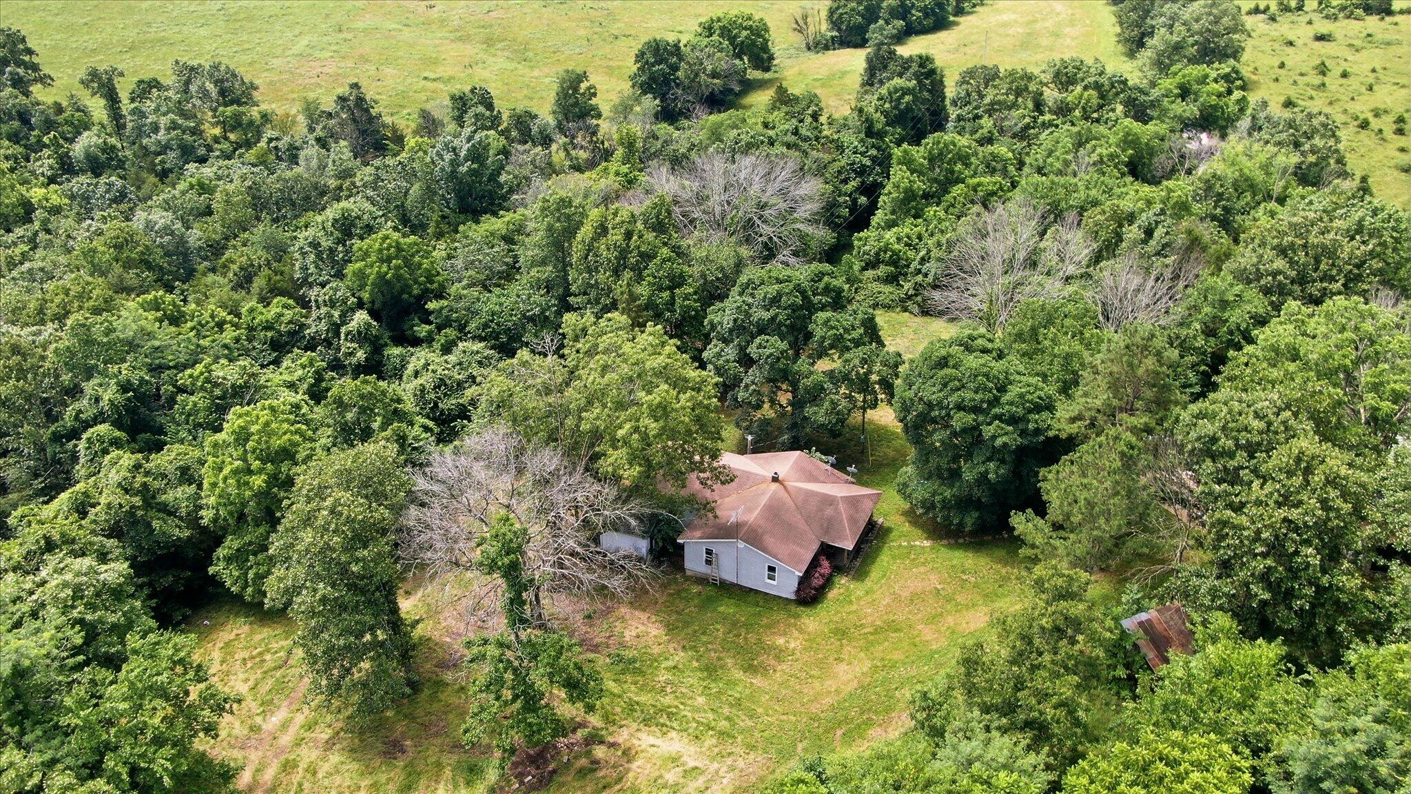 Photo 14 - Land for sale – 406  Horner Drive  Bradleyville, MO