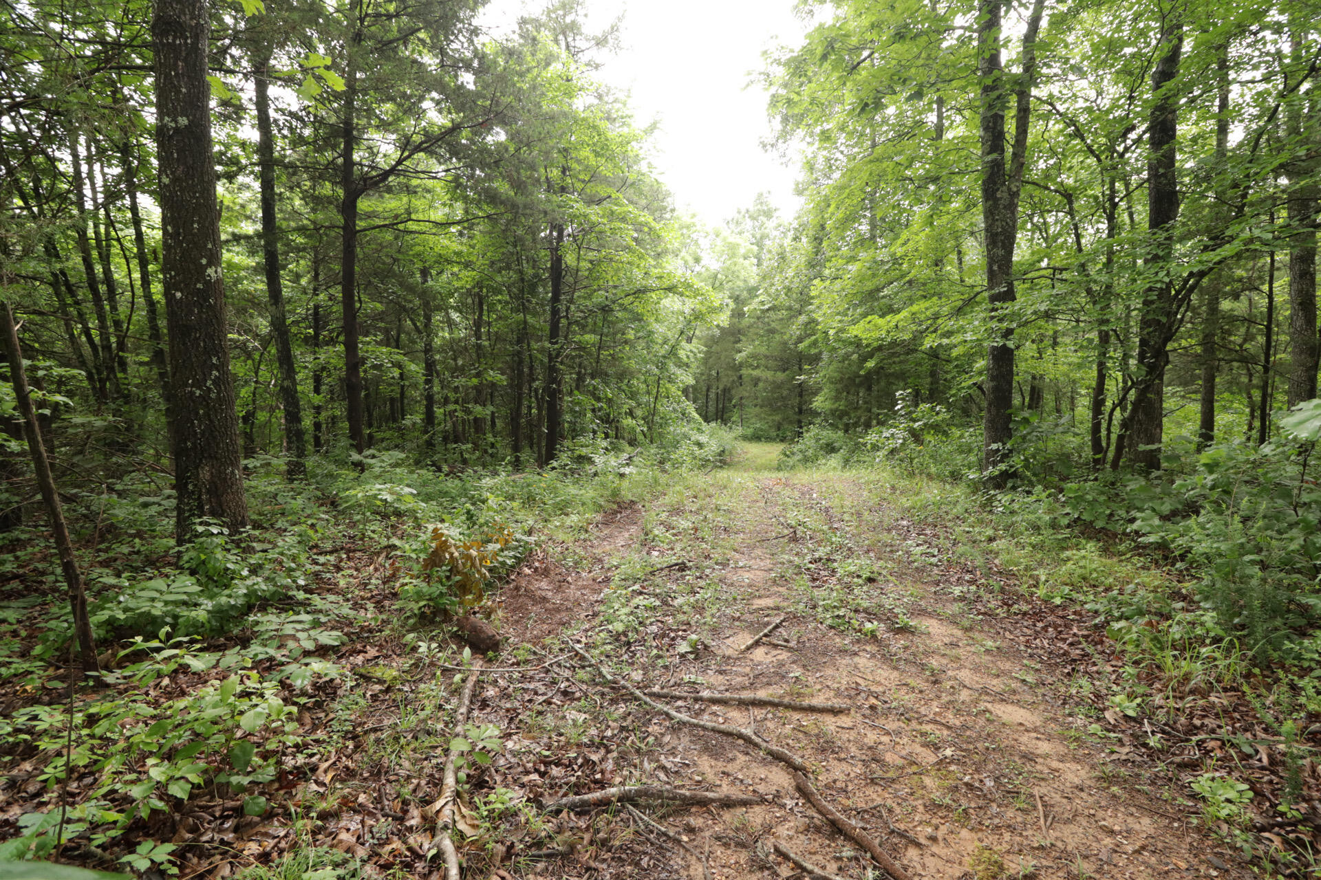 Photo 57 - Land for sale – 406  Horner Drive  Bradleyville, MO