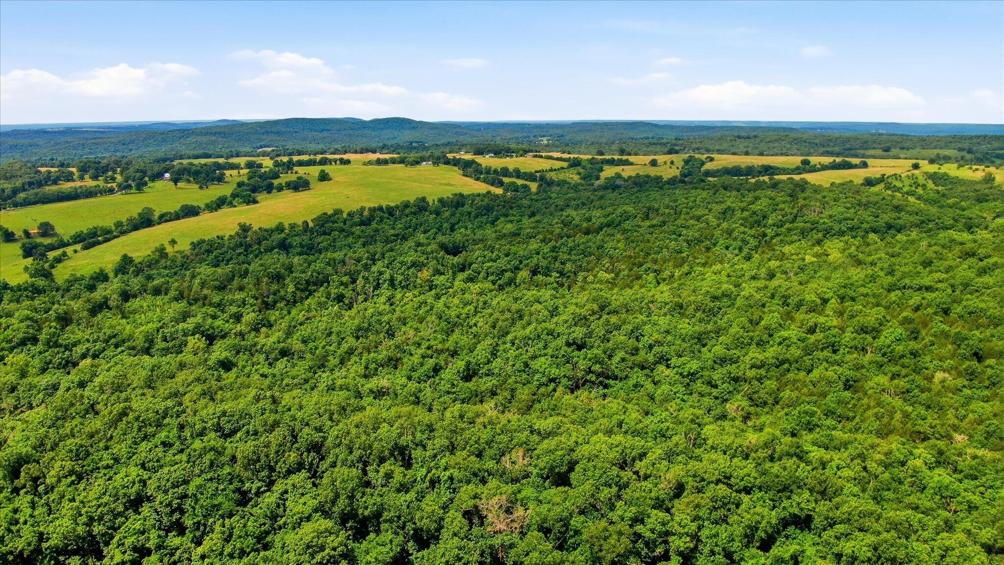 Photo 7 - Land for sale – 406  Horner Drive  Bradleyville, MO