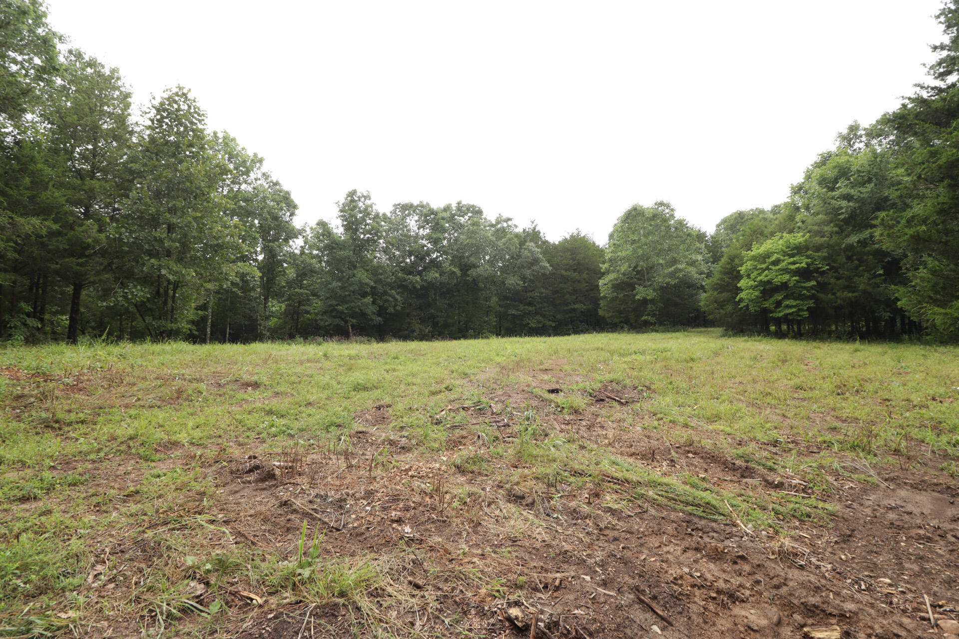 Photo 56 - Land for sale – 406  Horner Drive  Bradleyville, MO