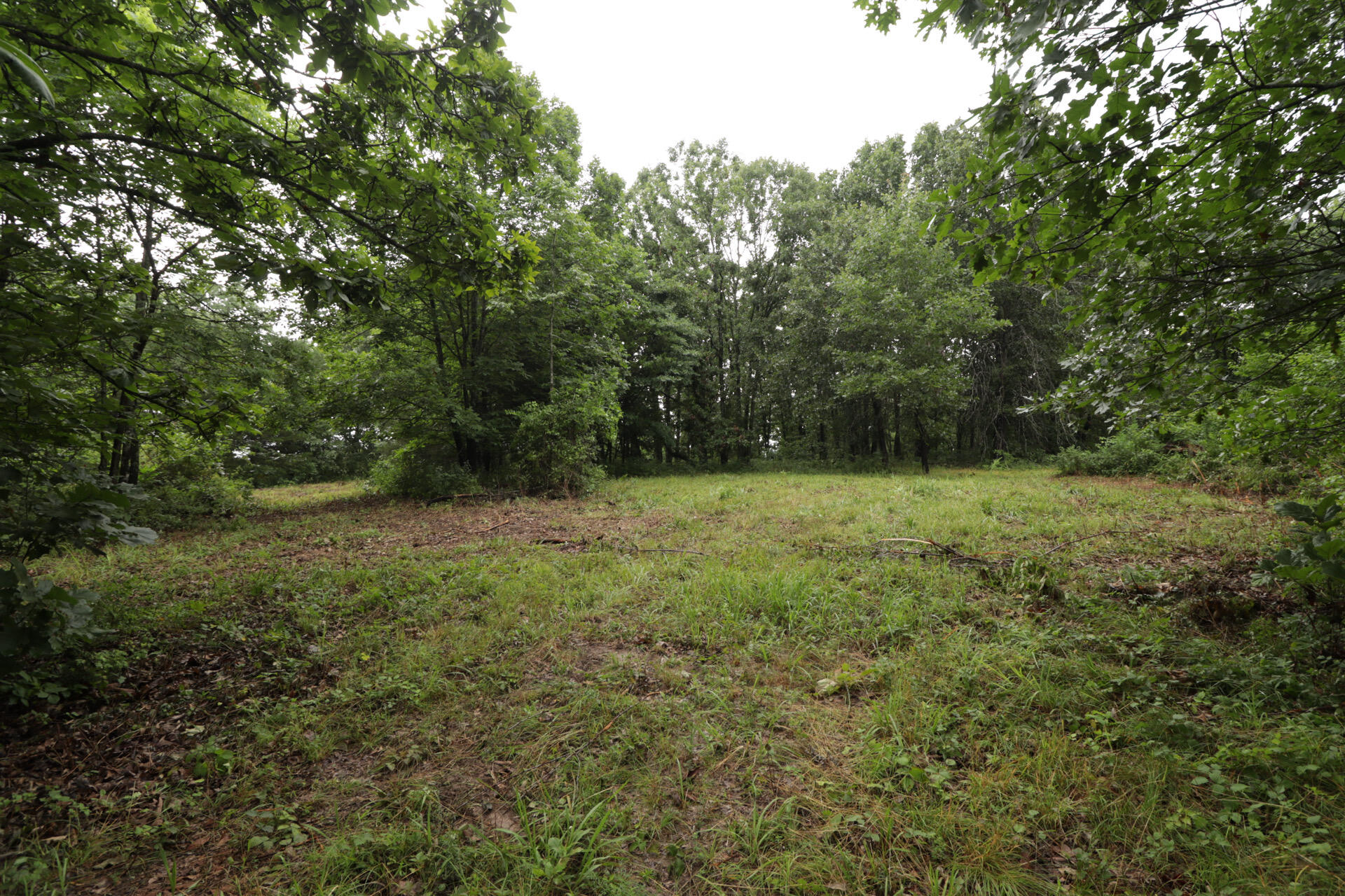Photo 31 - Land for sale – 406  Horner Drive  Bradleyville, MO
