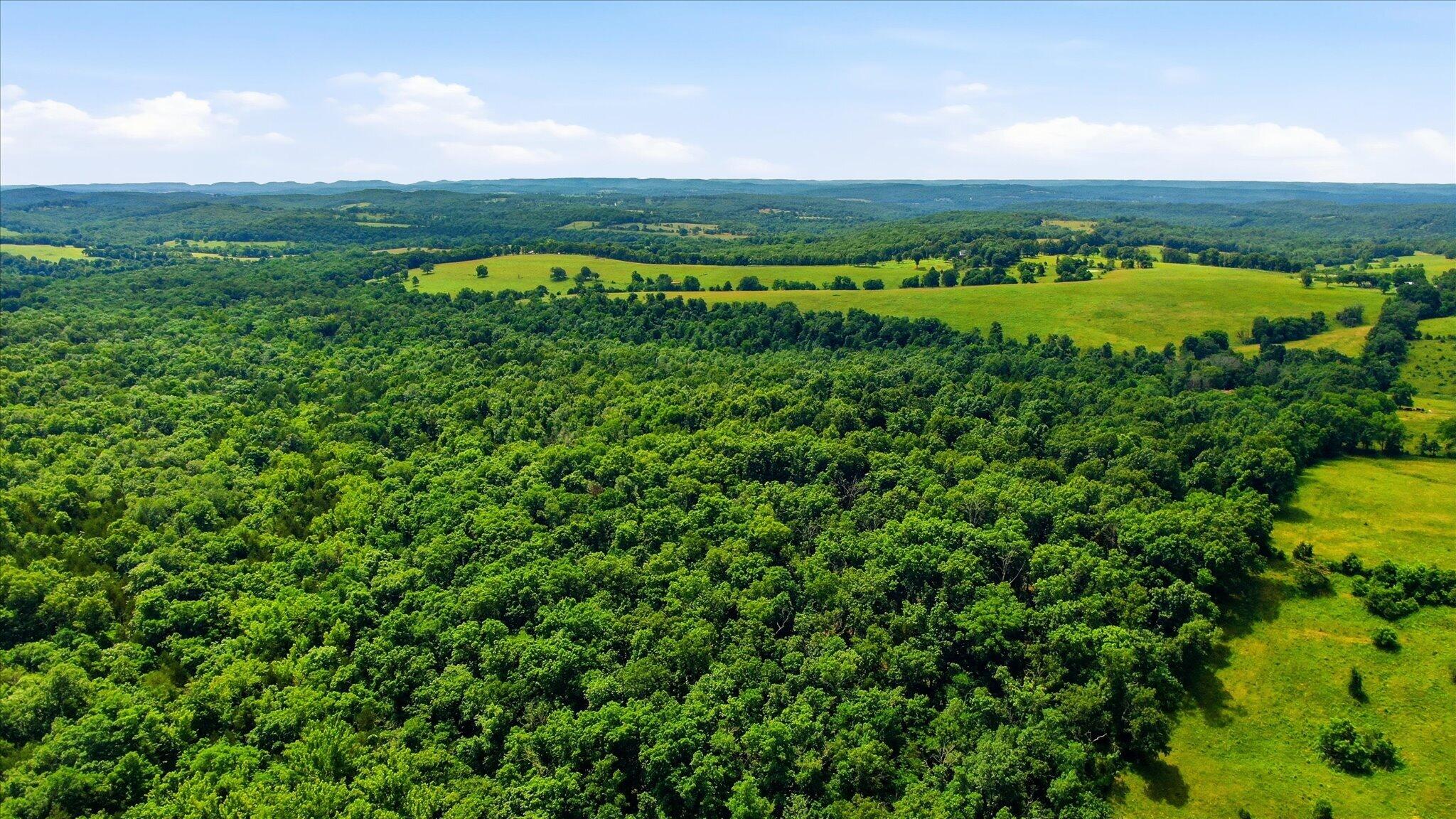 Photo 10 - Land for sale – 406  Horner Drive  Bradleyville, MO