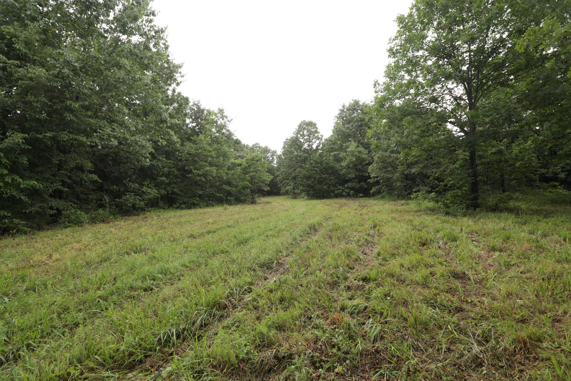Photo 30 - Land for sale – 406  Horner Drive  Bradleyville, MO