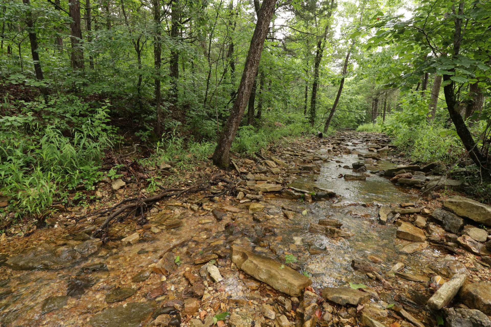 Photo 52 - Land for sale – 406  Horner Drive  Bradleyville, MO