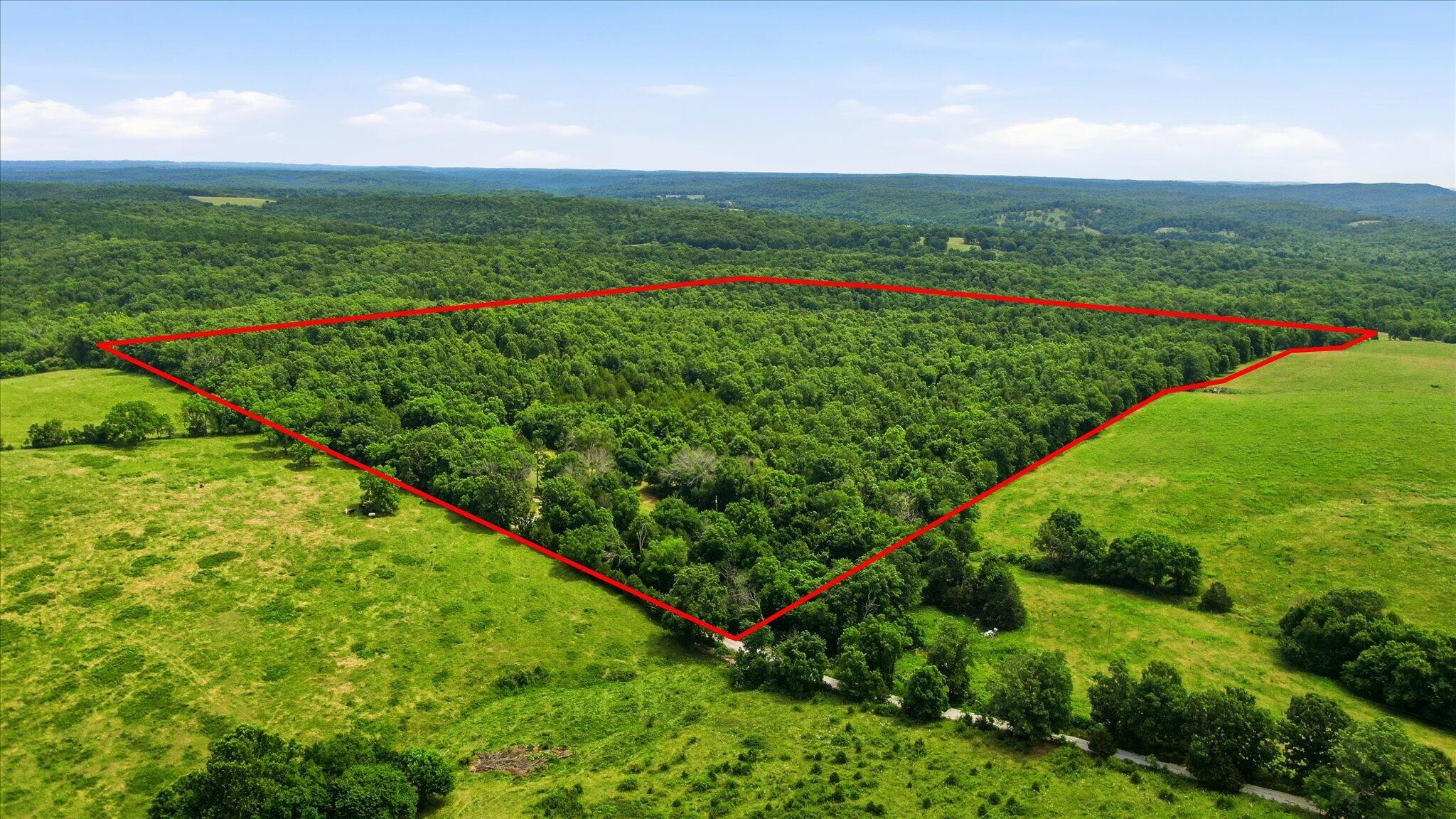 Photo 2 - Land for sale – 406  Horner Drive  Bradleyville, MO
