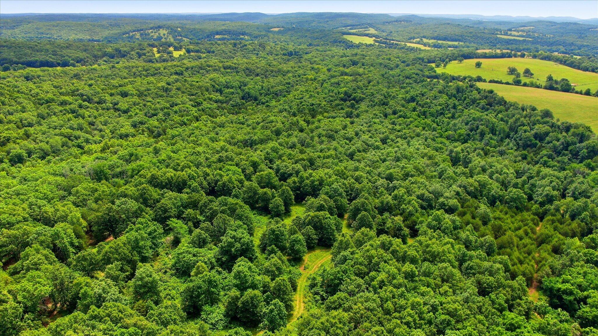 Photo 12 - Land for sale – 406  Horner Drive  Bradleyville, MO