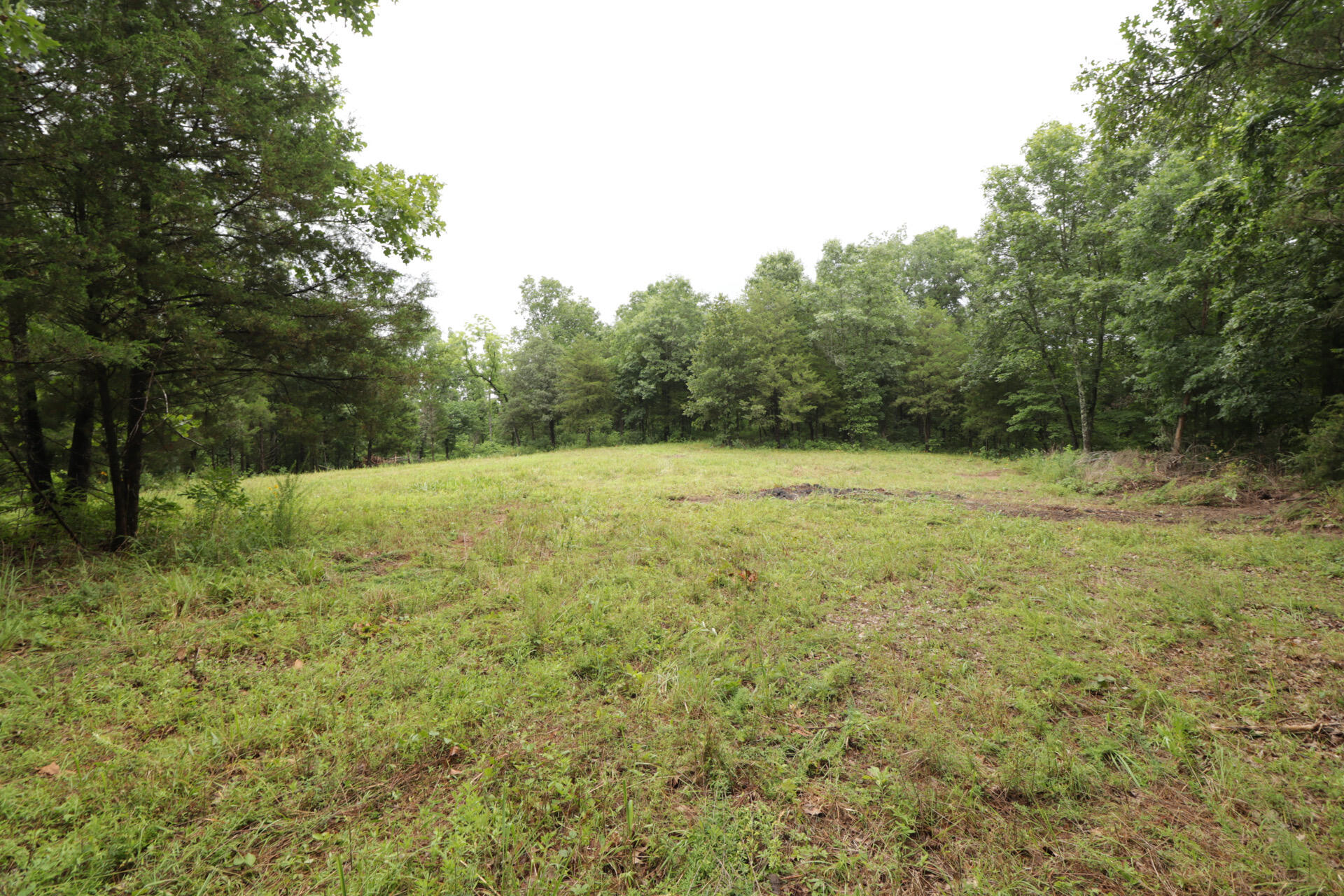 Photo 43 - Land for sale – 406  Horner Drive  Bradleyville, MO