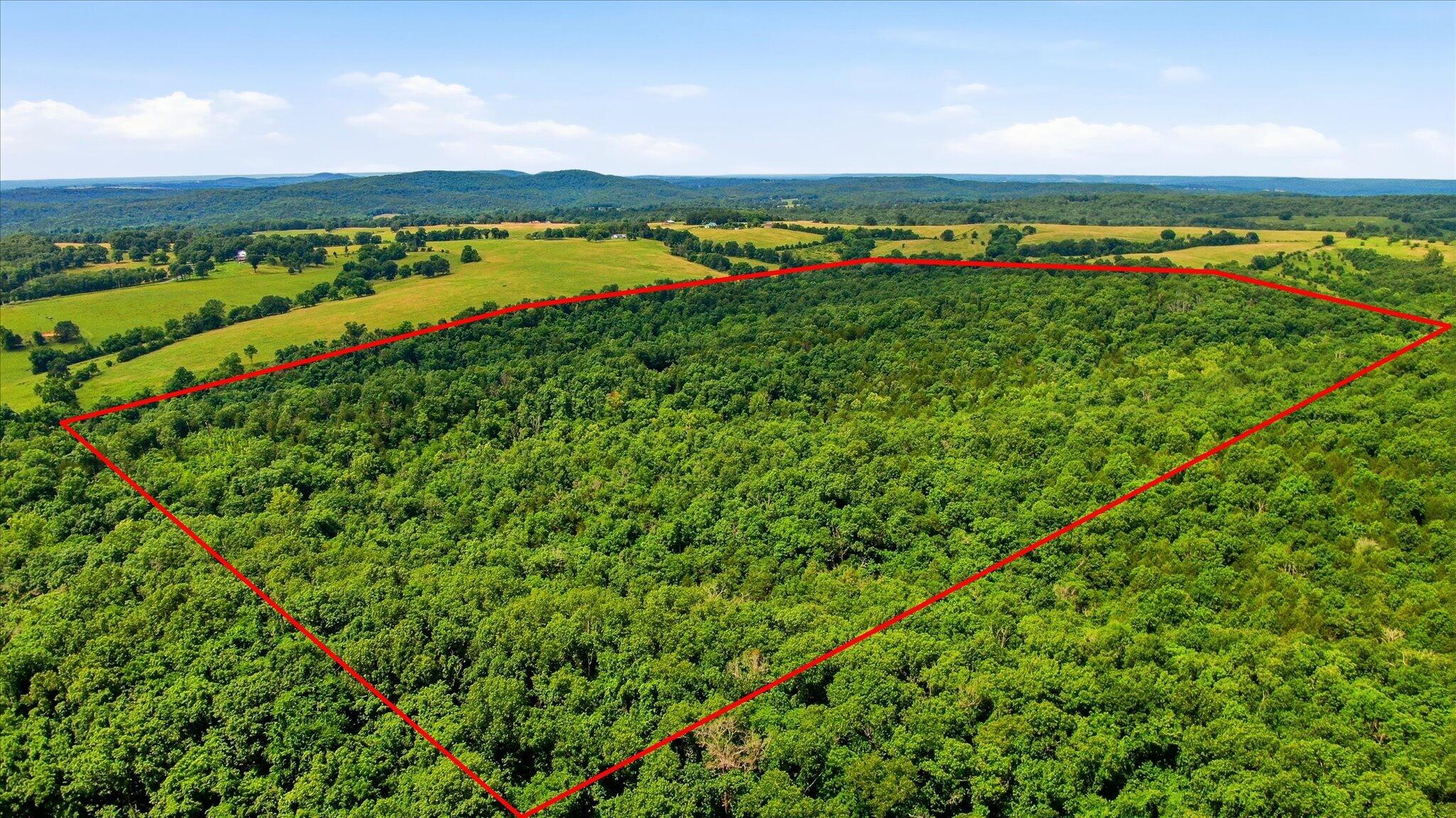 Land for sale – 406  Horner Drive  Bradleyville, MO