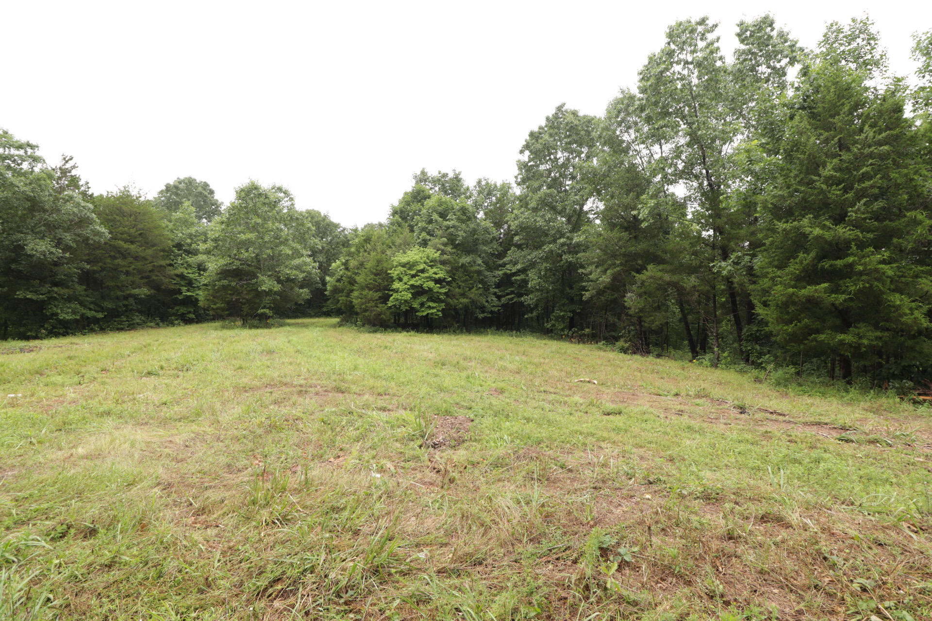 Photo 46 - Land for sale – 406  Horner Drive  Bradleyville, MO
