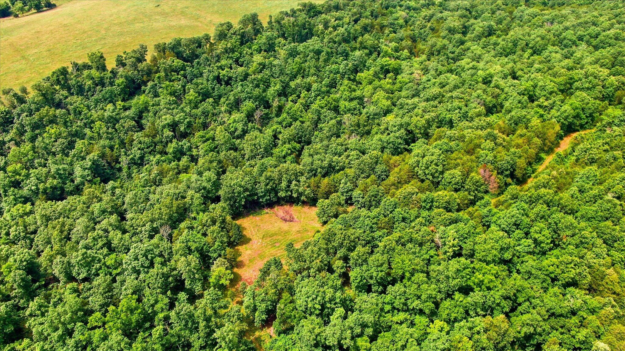 Photo 8 - Land for sale – 406  Horner Drive  Bradleyville, MO